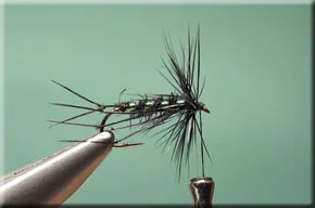 black_hopper-8-1.jpg