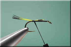 pennell_nymph-1-1.jpg
