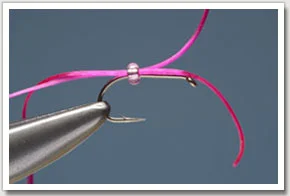 pink_worm-1.jpg