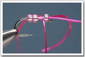 pink_worm-4.jpg