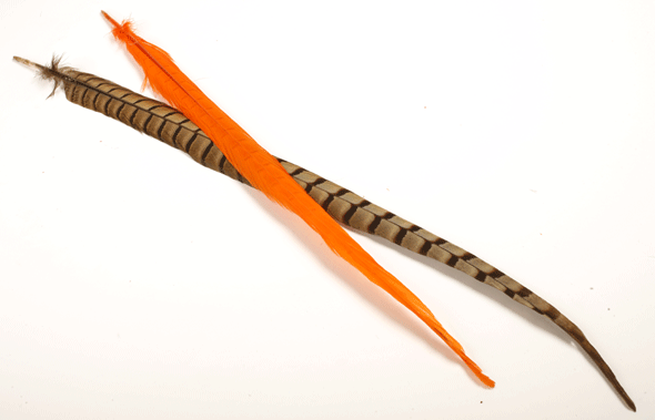Pheasant-tail.gif