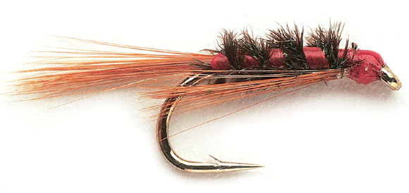 Diawl Bach Hook: Size 12 Kamasan B175 Thread: Glo-Brite No4 Body: Single strand of peacock herl ail: Redgame hackles Rib: Wire or holographic Hackle: Greenwell's hen