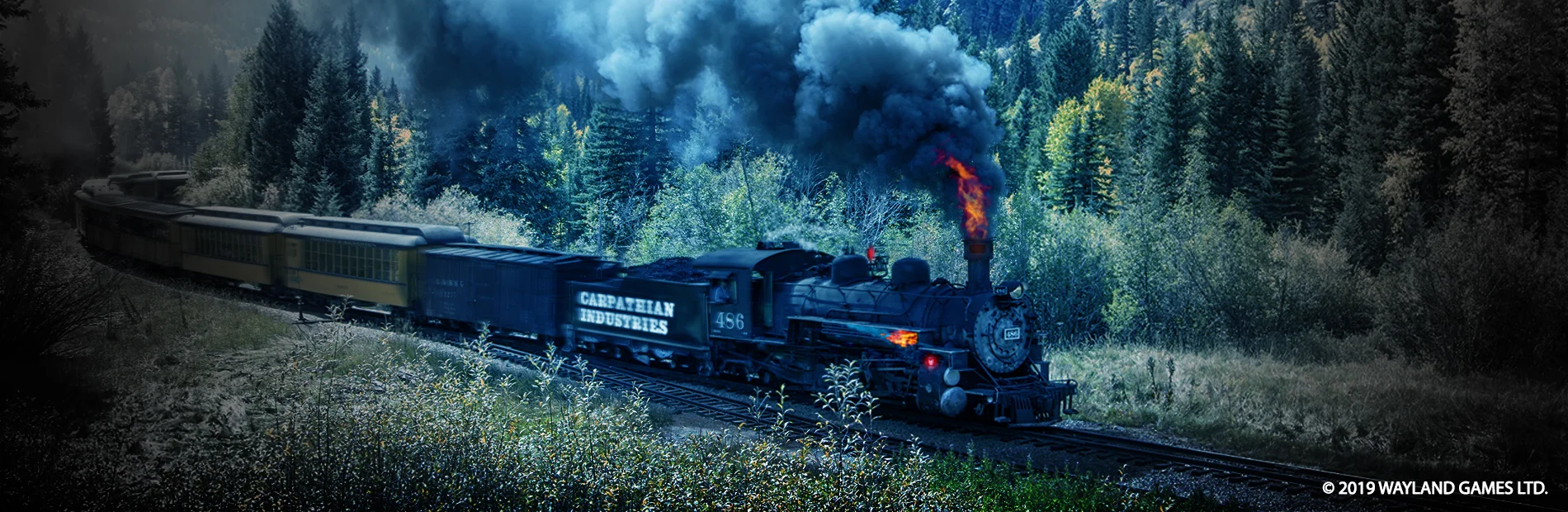 blog header.jpg
