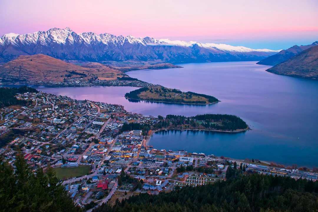 NZ2017-1.jpg