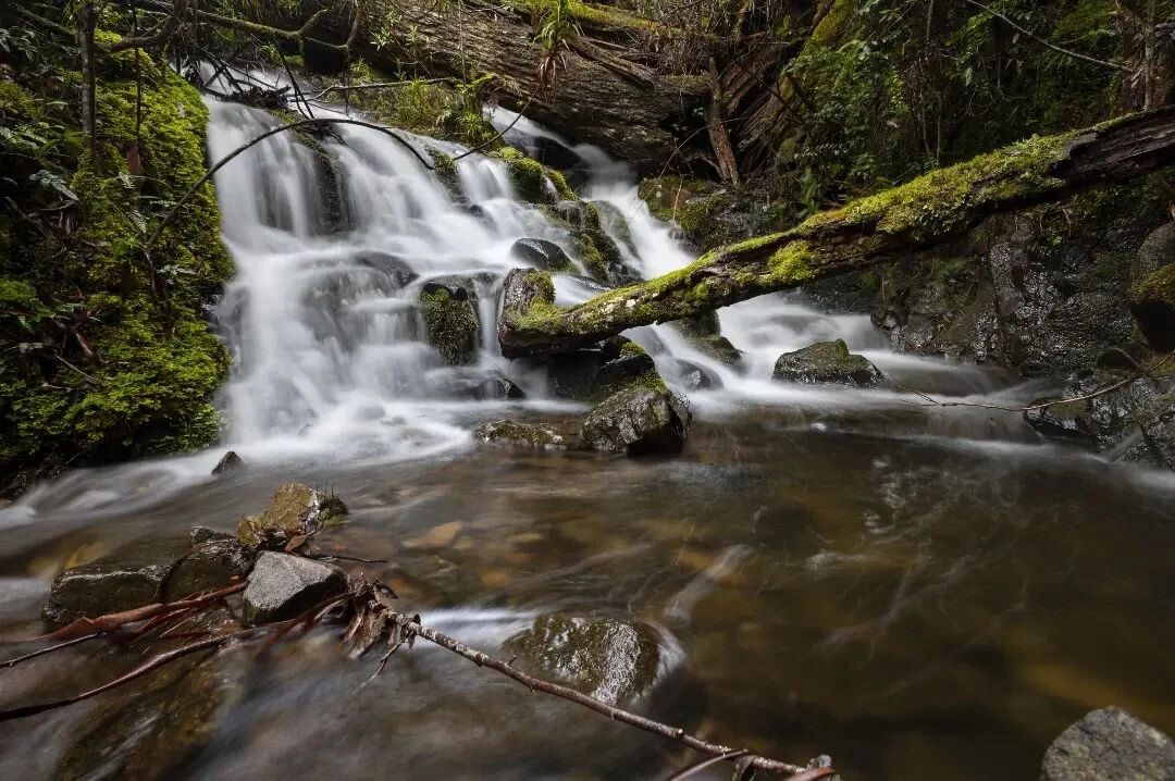 Myrtle Forest, Tasmania

Only a short half an hour drive from Hobart, Myrtle Forest feels much more remote. The waterfalls flowing off of Mt Wellington were pumping from all of the recent rain.
--------------------------------------------------------
