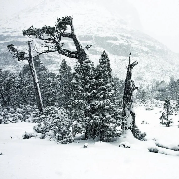 Cradle Mountain National Park, Tasmania