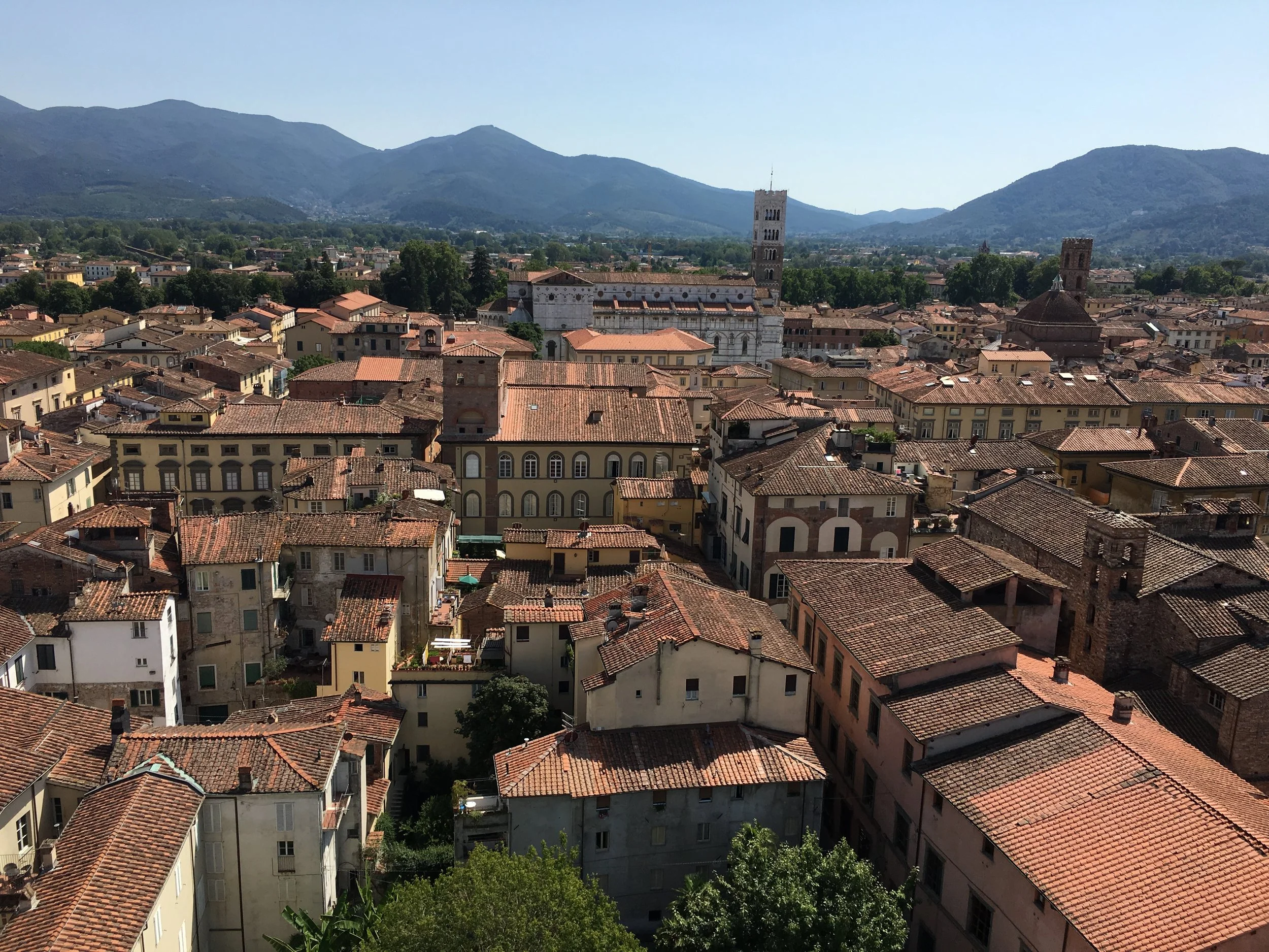 Lucca vista desde lo alto 