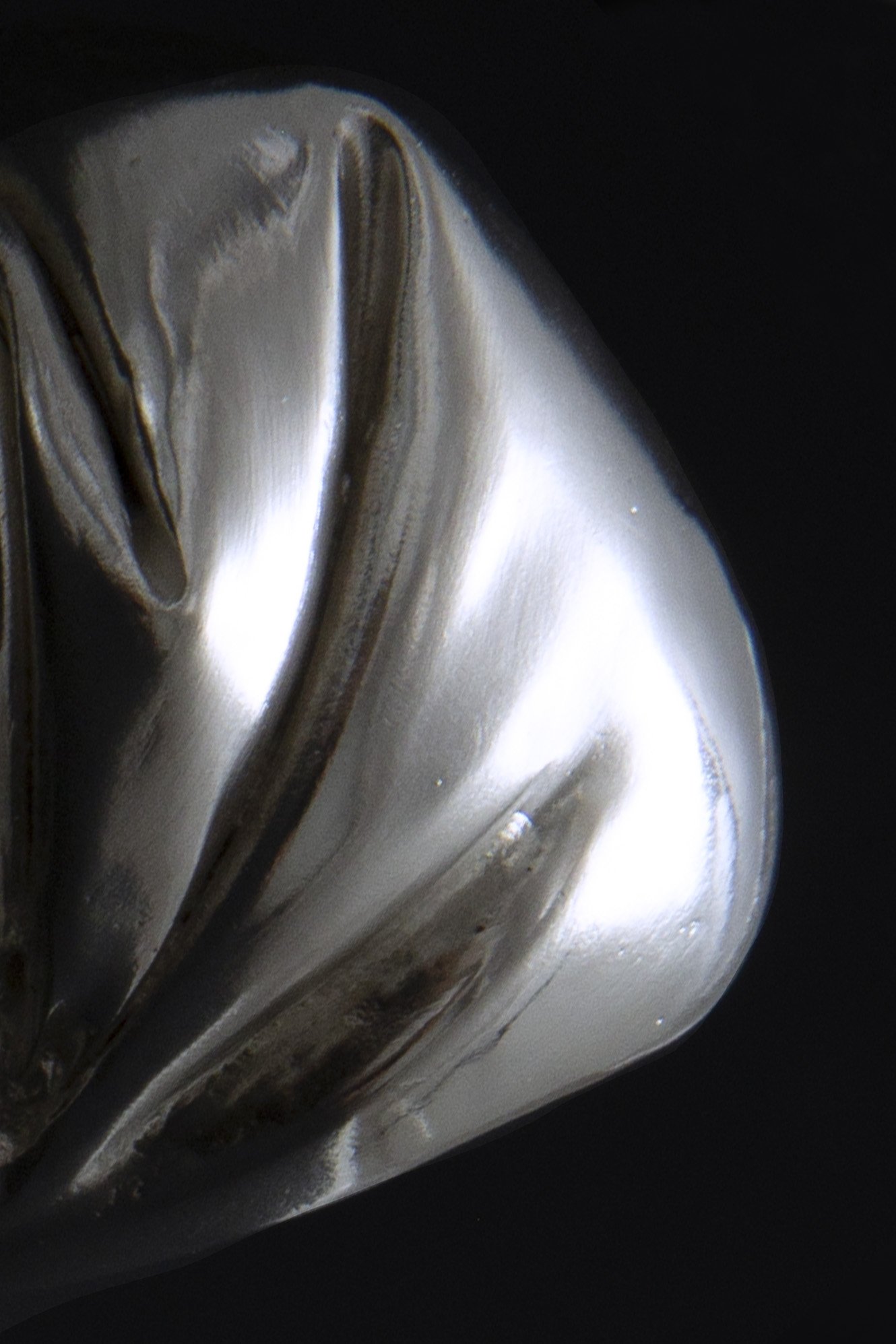 Julia Bartsch ring capsule 03 zoom.JPG