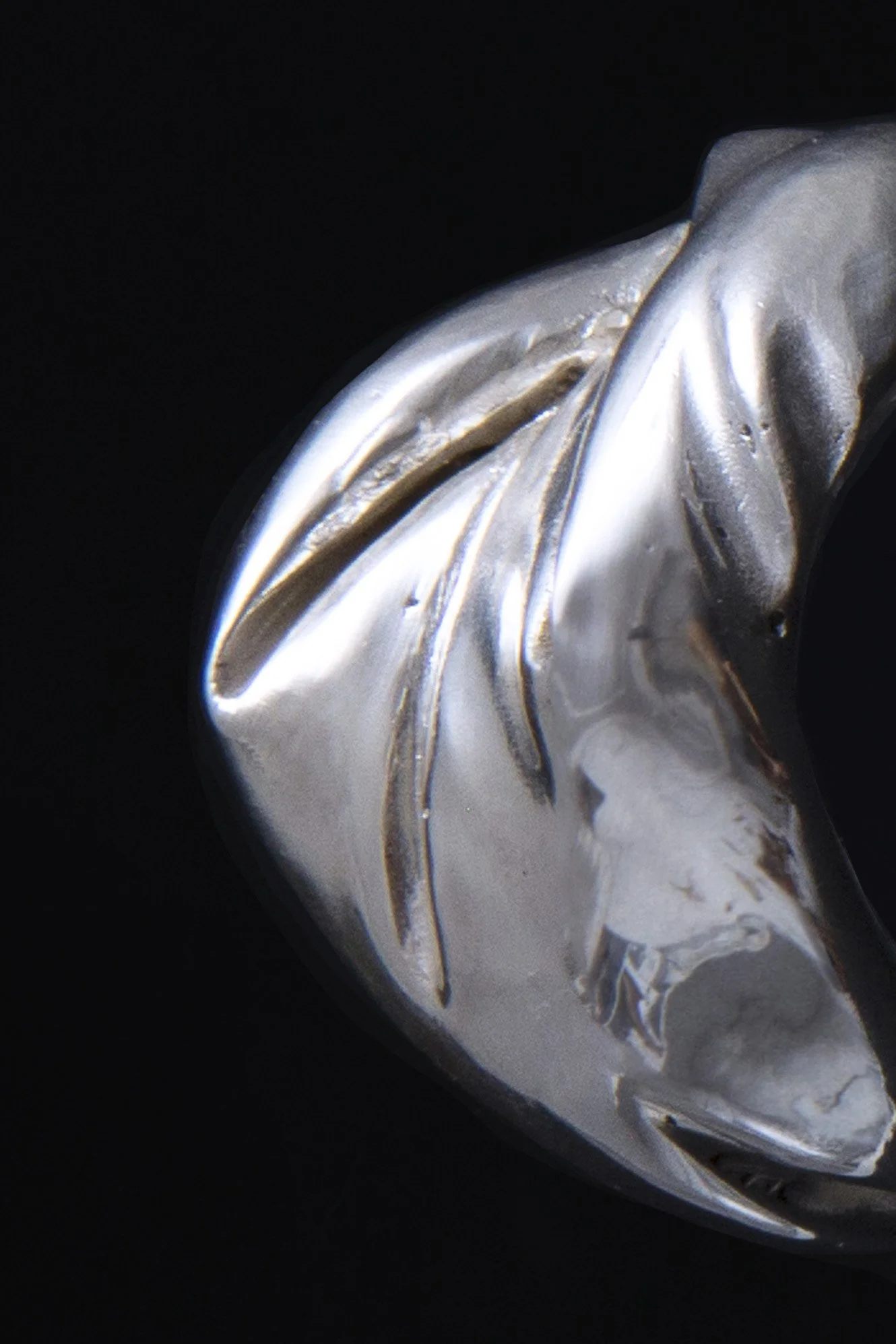 Julia Bartsch Ring Capsule 11 extra.JPG