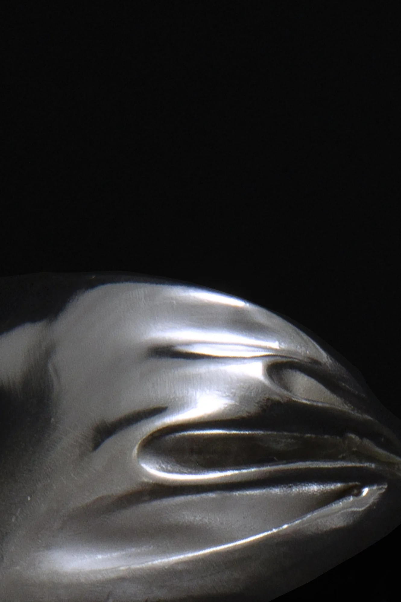 Julia Bartsch Ring Capsule 02 zoom.JPG