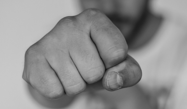 Bully Fist.png