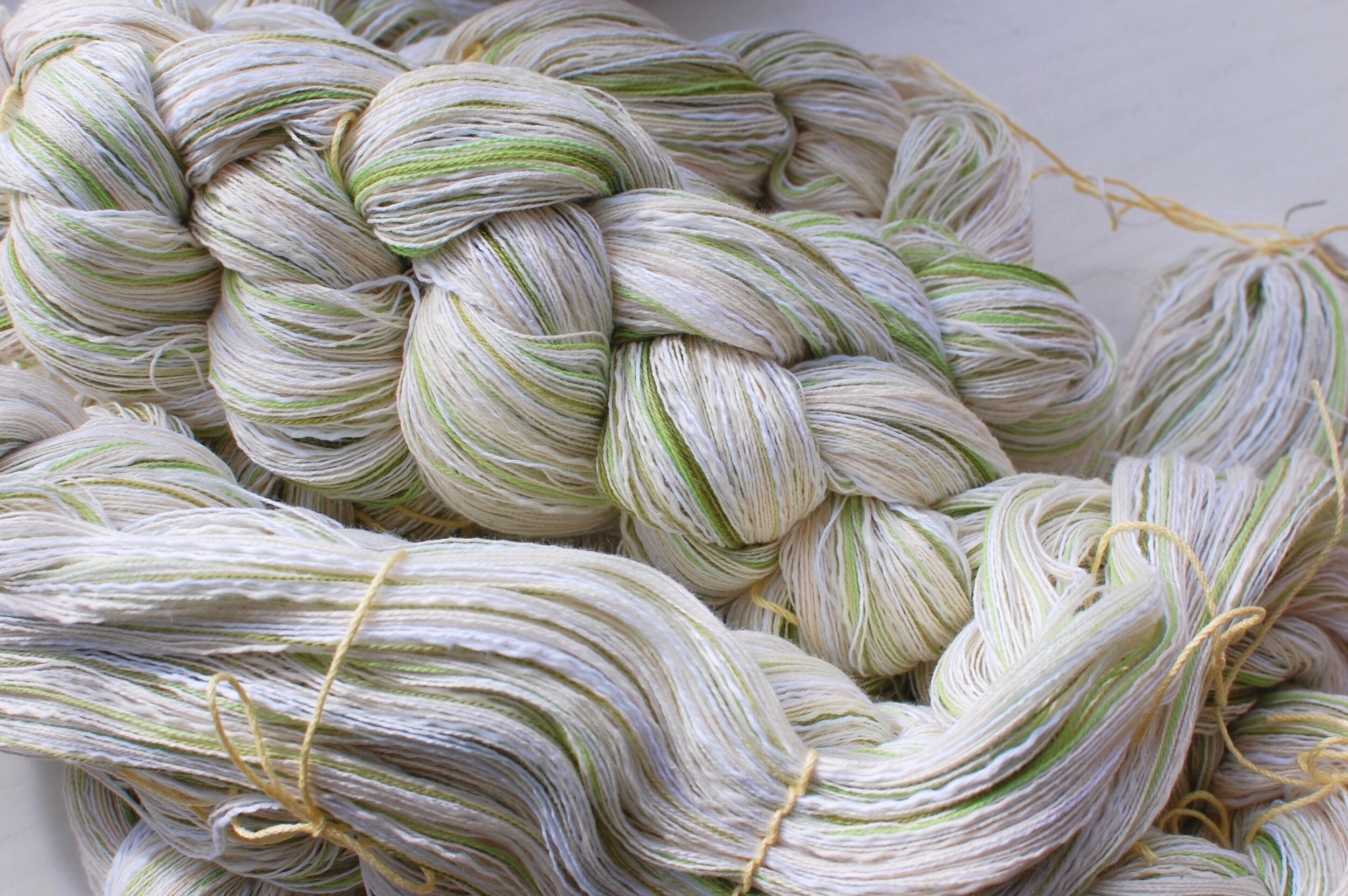 A warp chain of cotton yarn