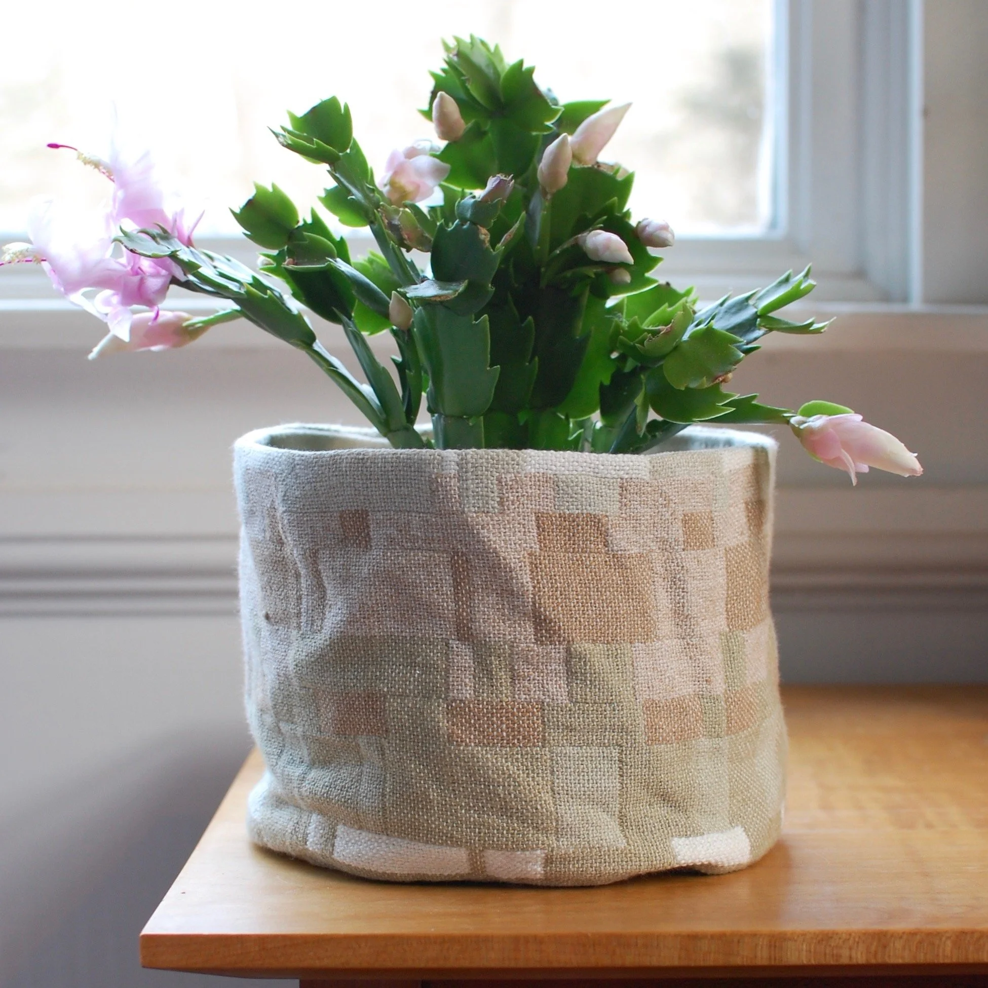 sustainably grow color grown cotton USA. Handwoven cloth basket