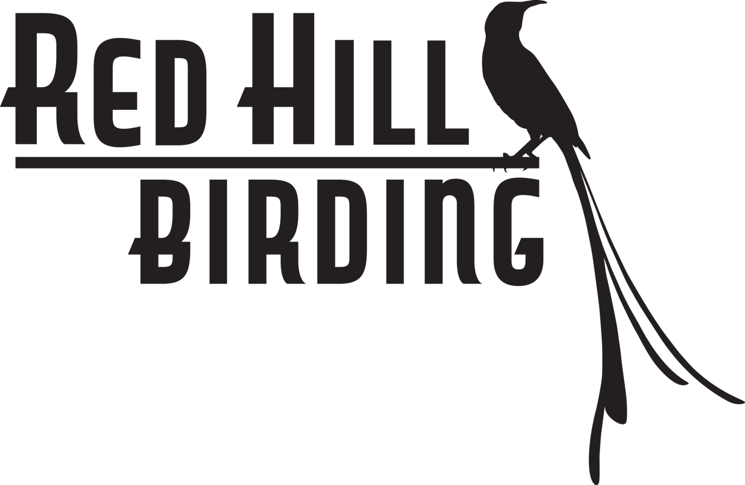 Red Hill Birding