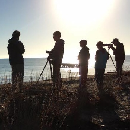 Birders_crop.jpg