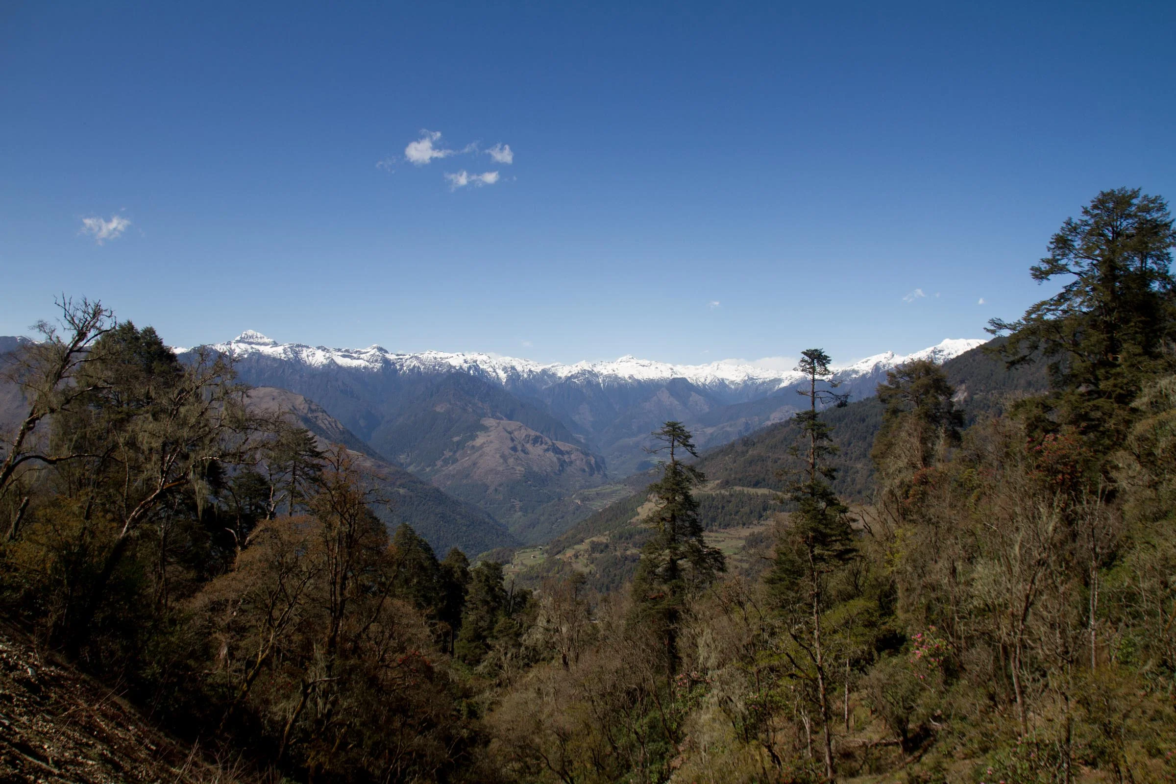 View from Pele La