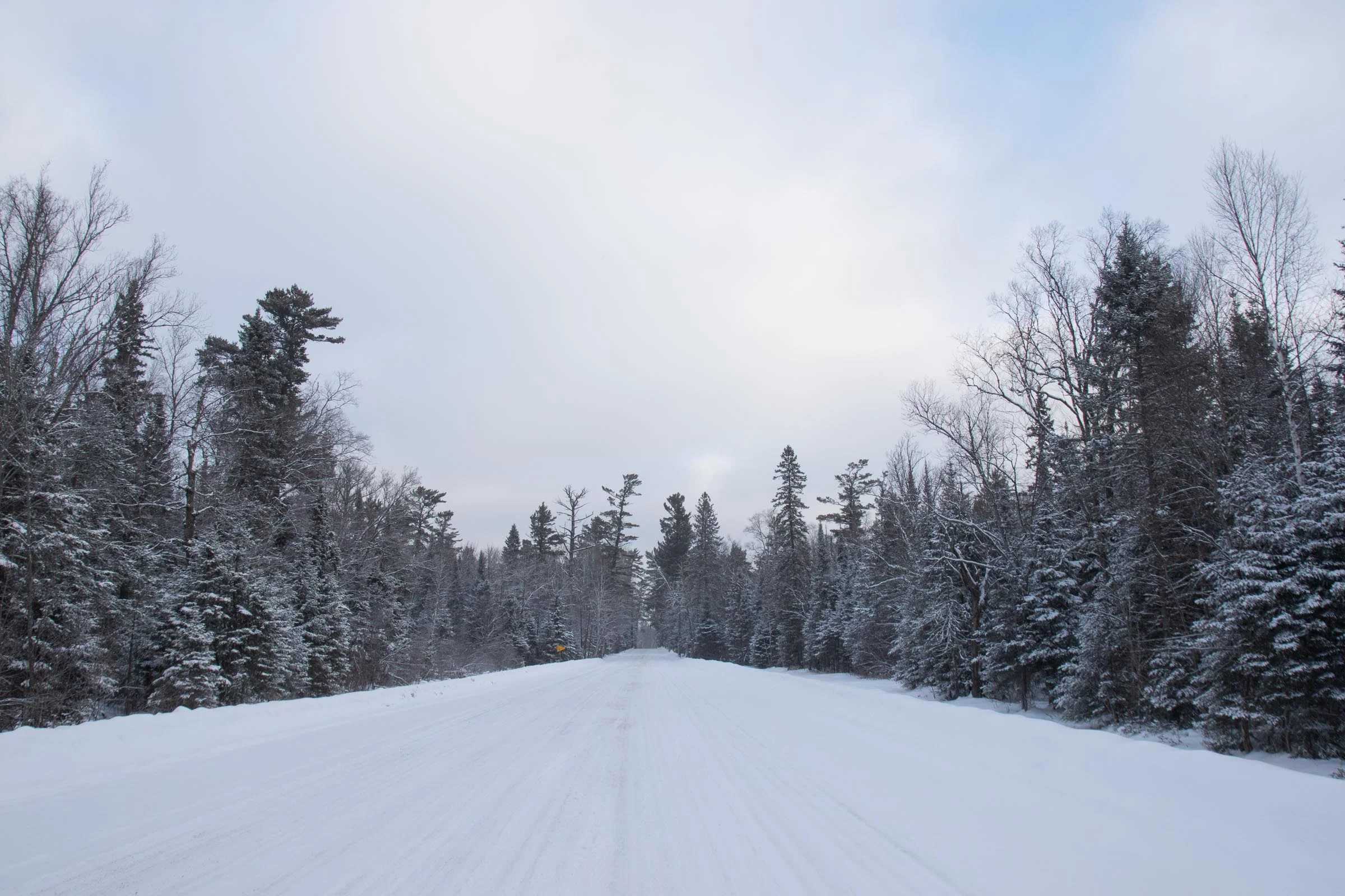 Winter scenery