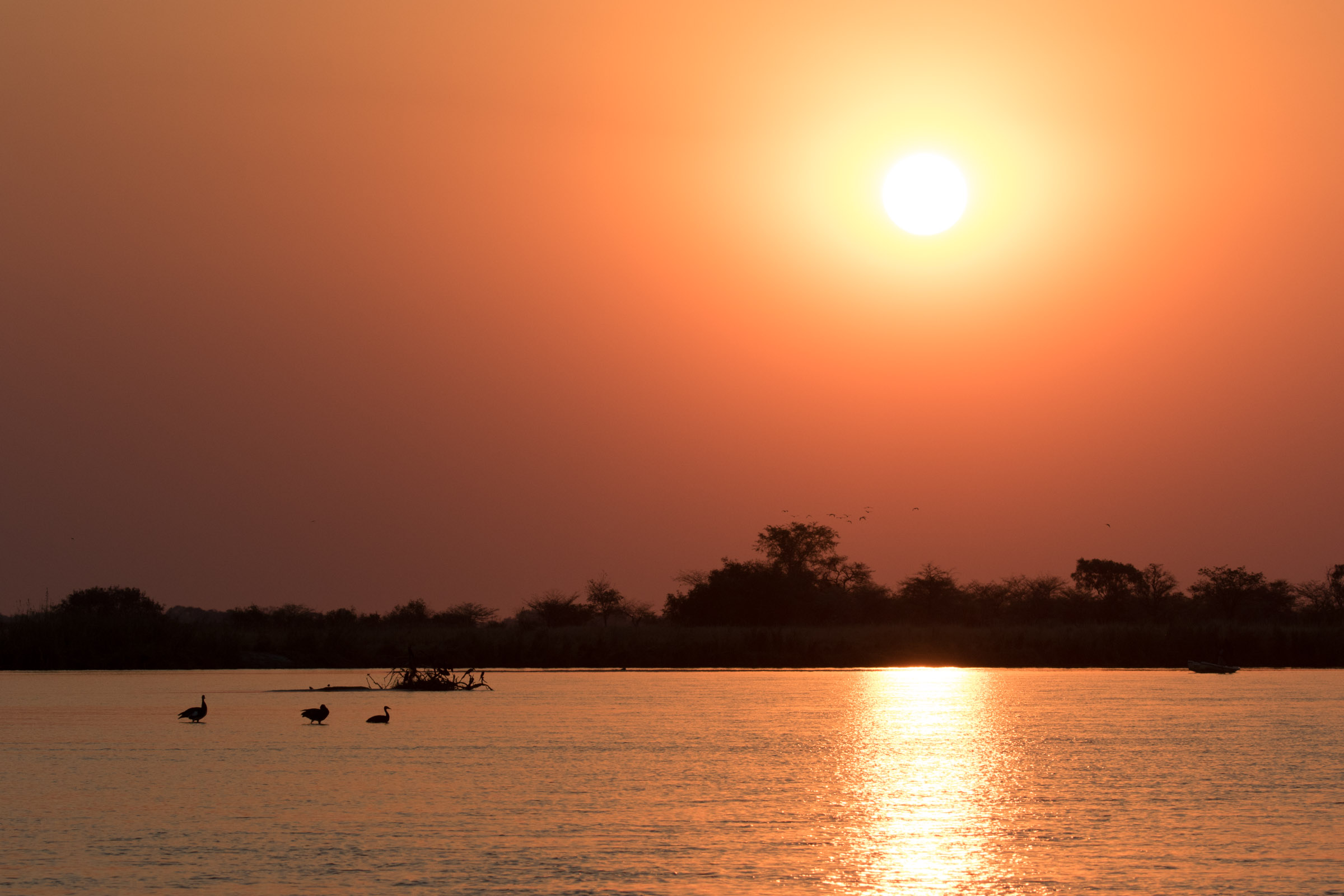 Sunset over the Okavango River