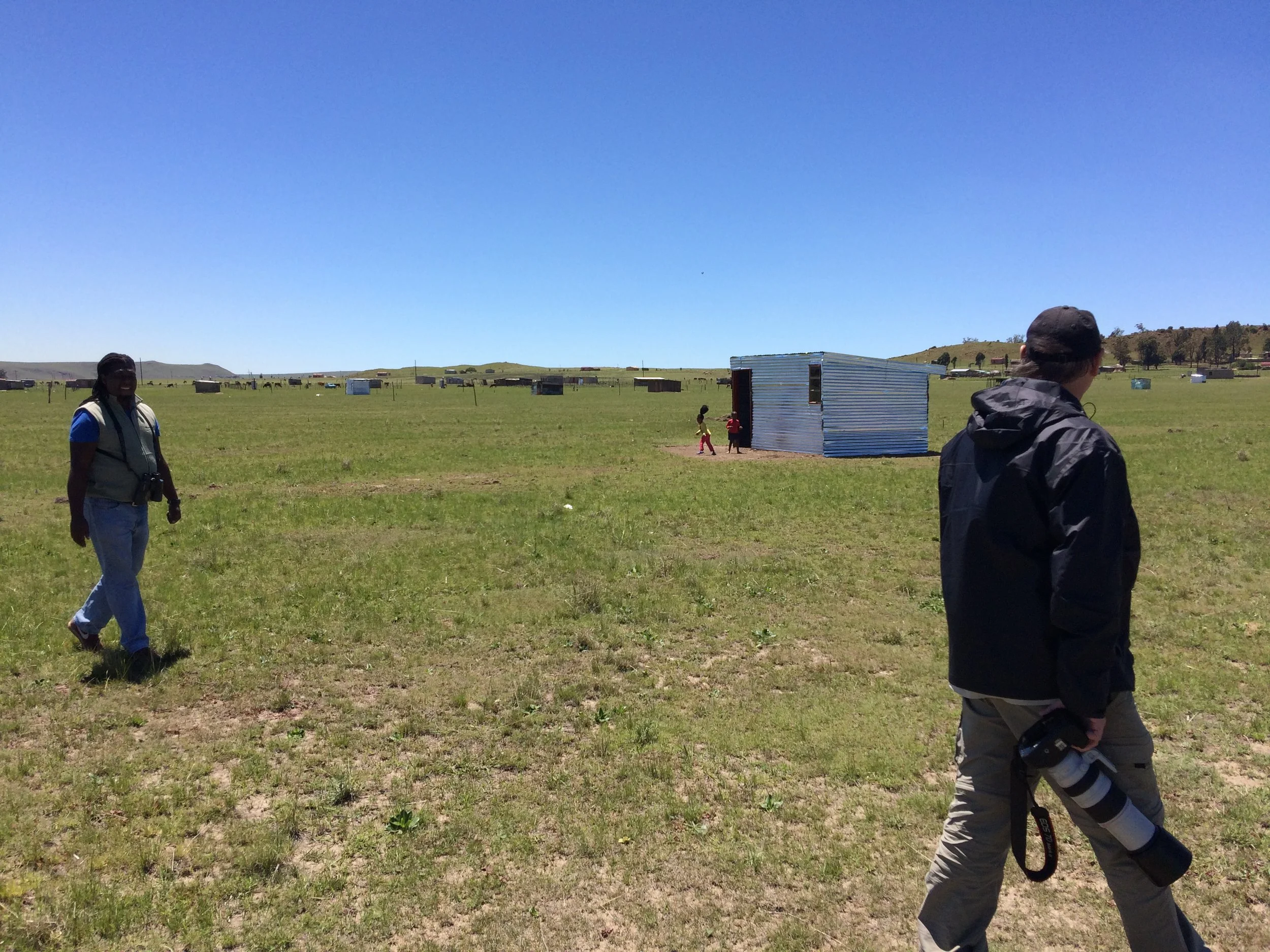 Birding on the edge of grassland village