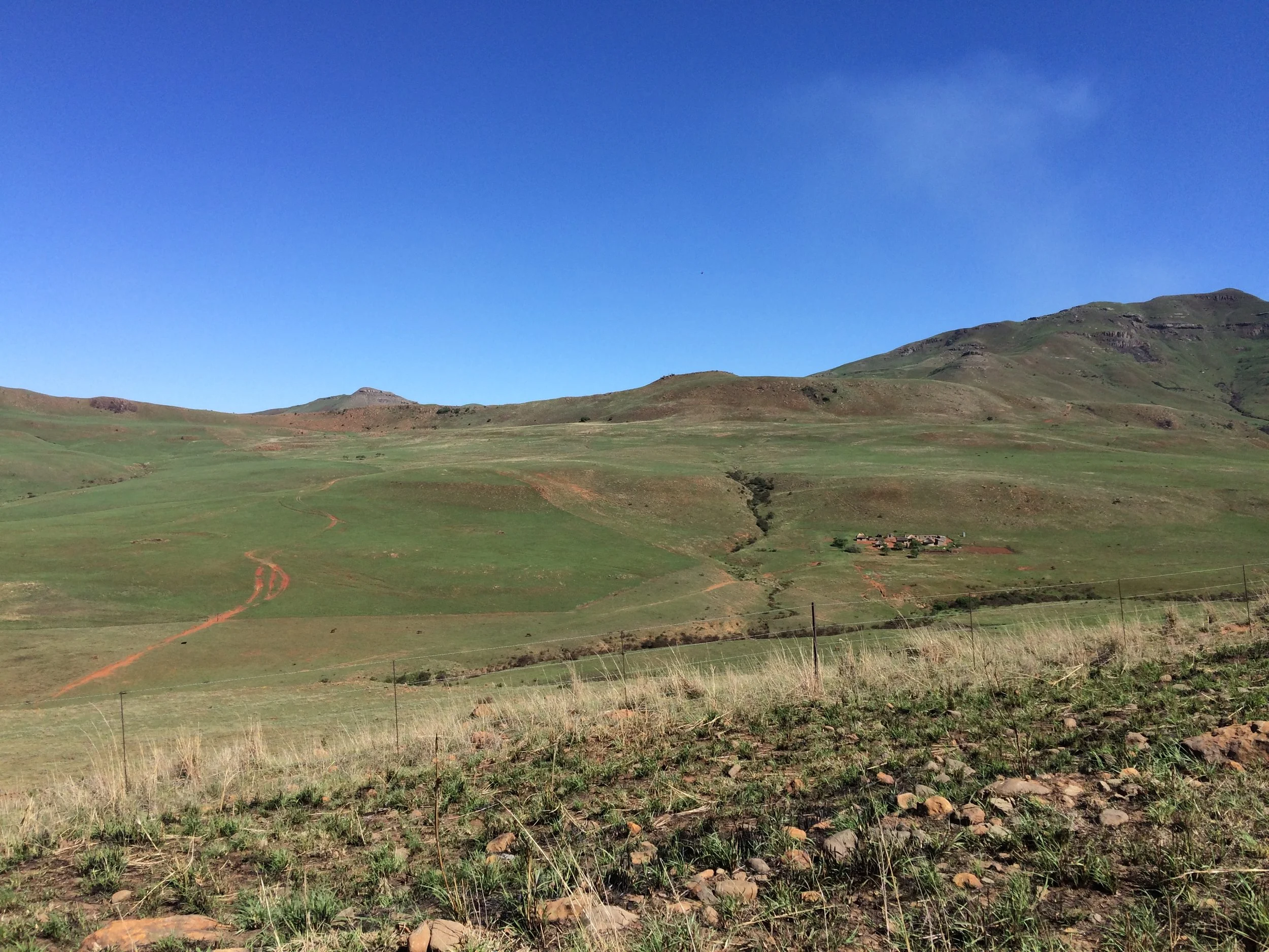 Wakkerstroom scenery