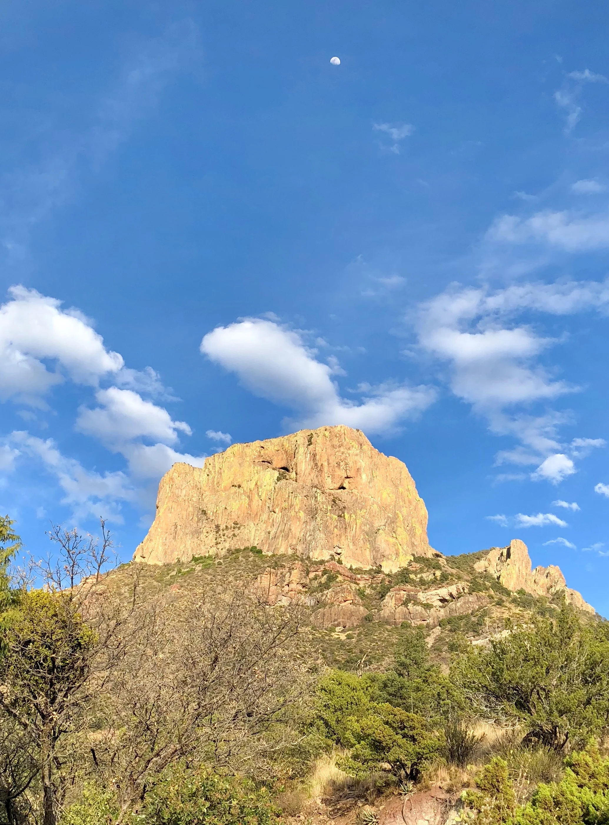 Big Bend moonrise