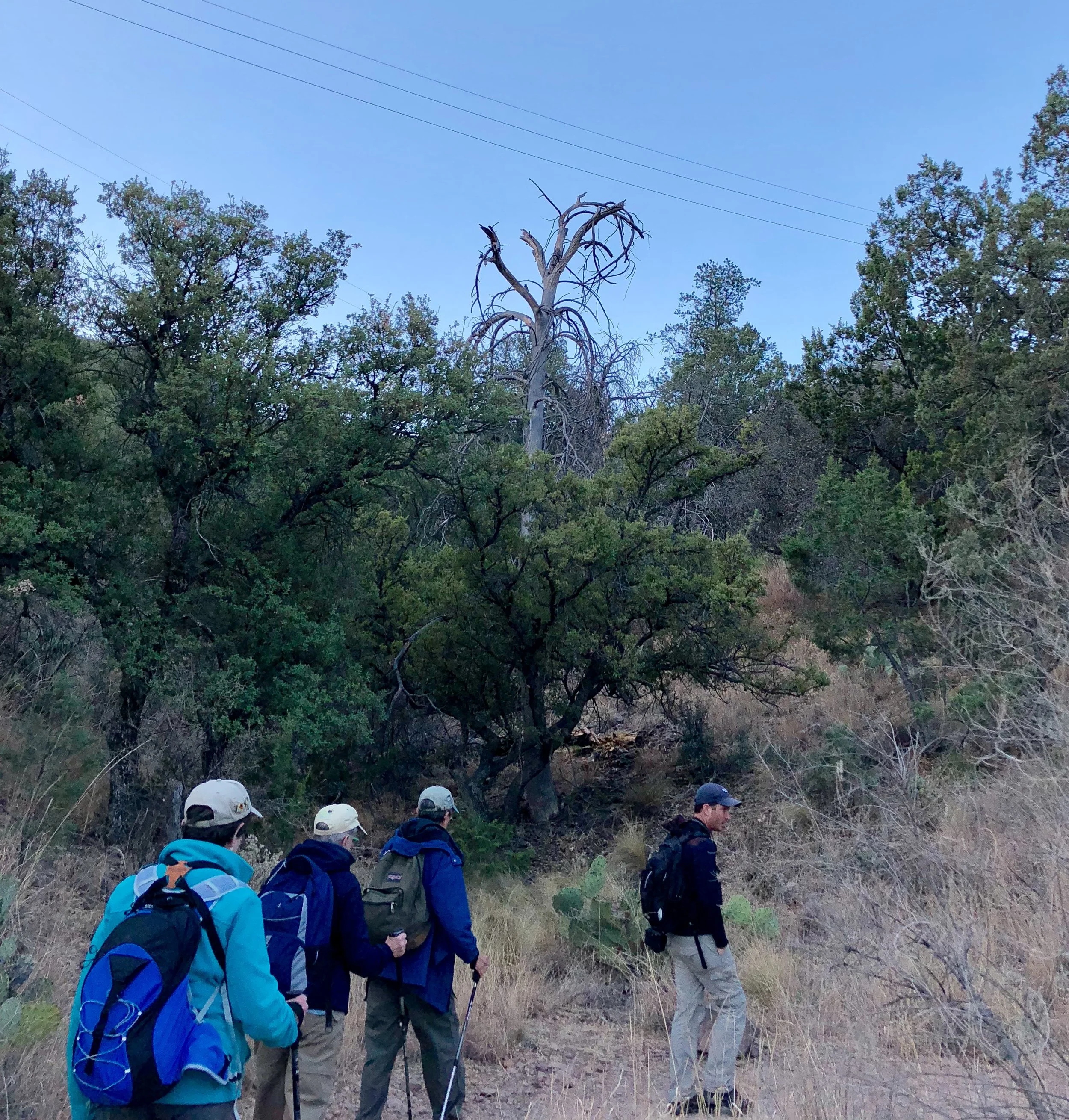 Birding the Big Bend trails.