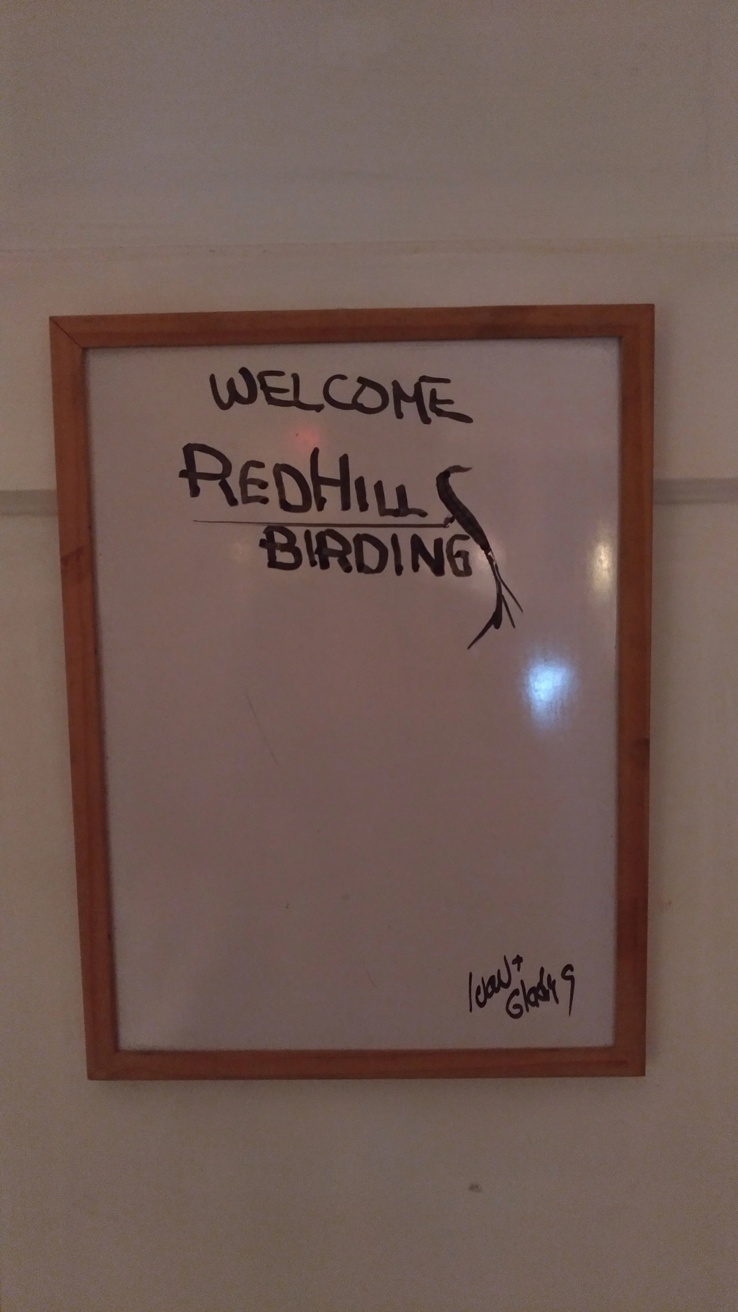Welcome Red Hill Birding