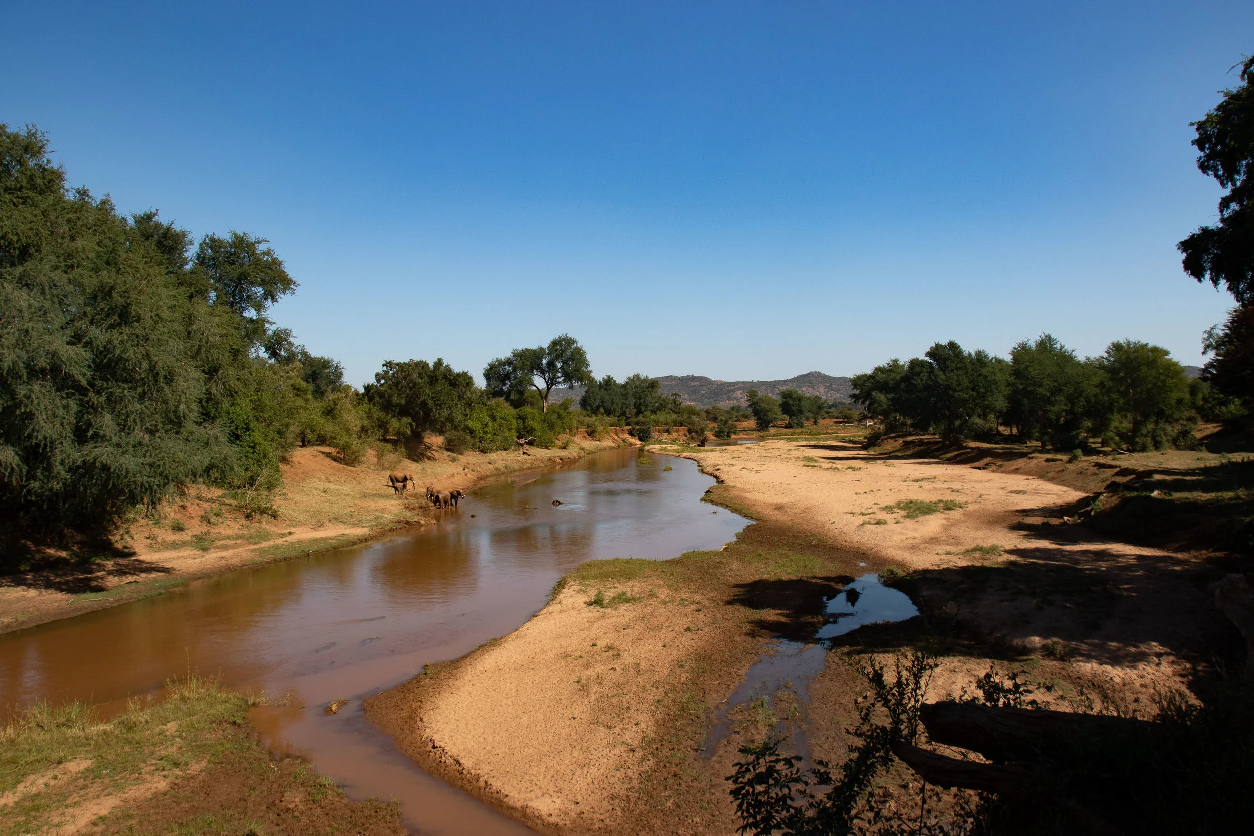 Luvuvhu River with Elephants