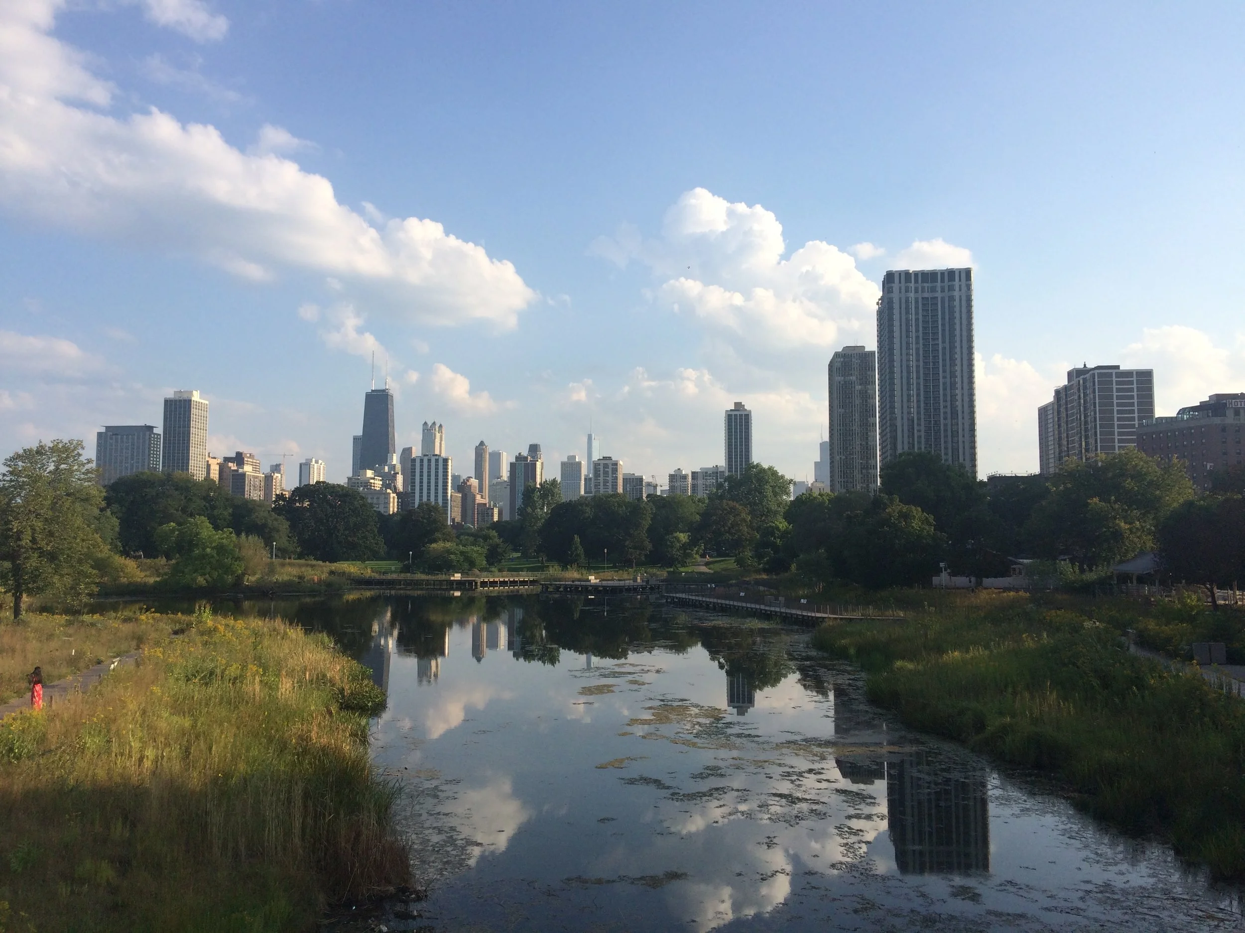 Chicago Skyline from South Pond
