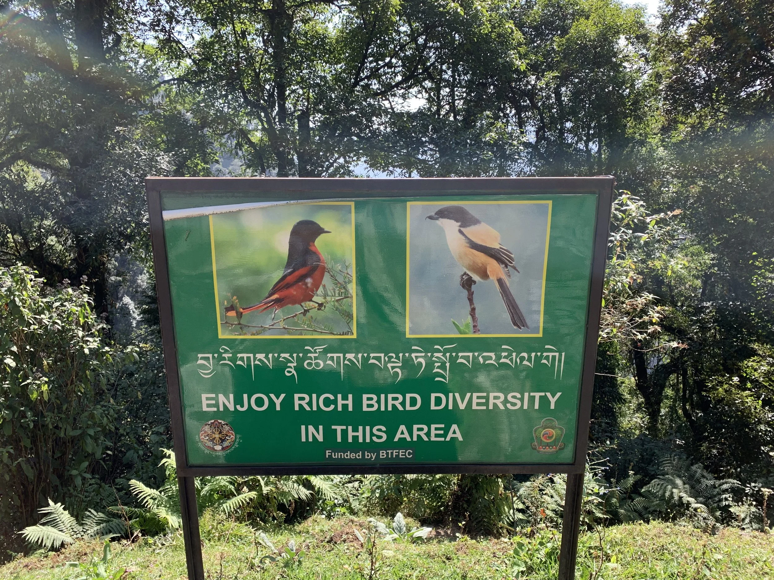 Bird diversity awareness