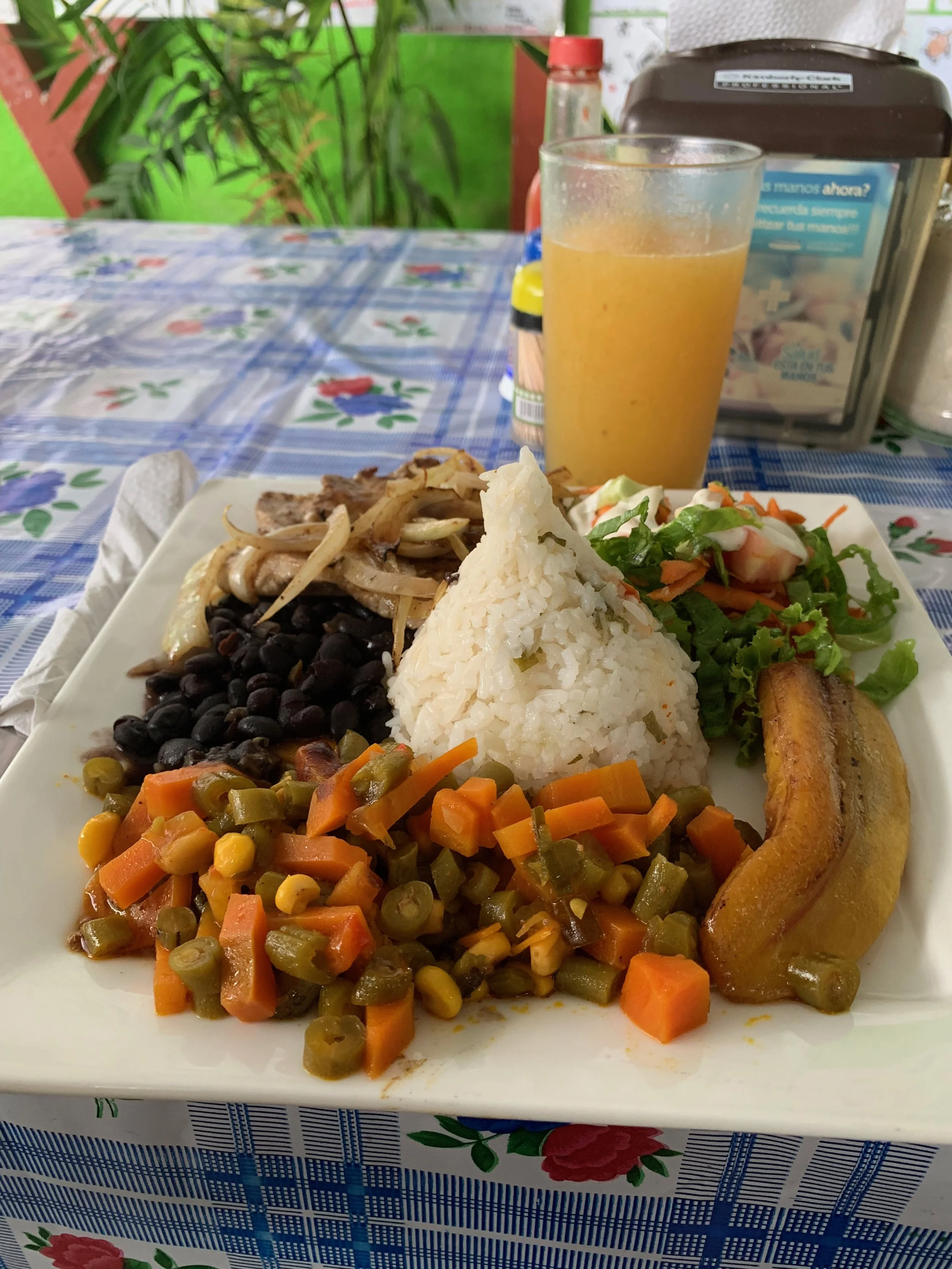 Typical Costa Rican meal