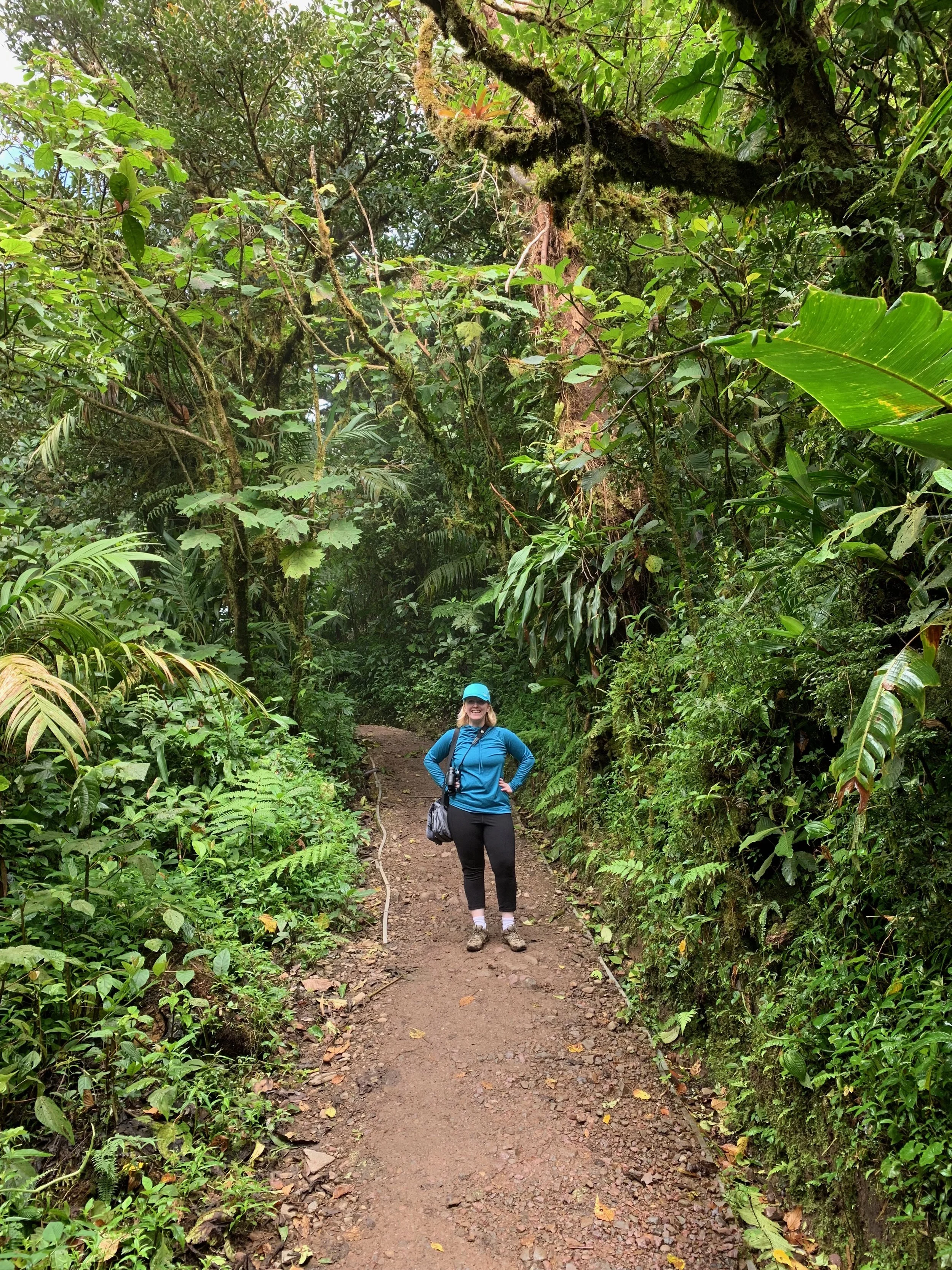 Birding in the cloud forest.