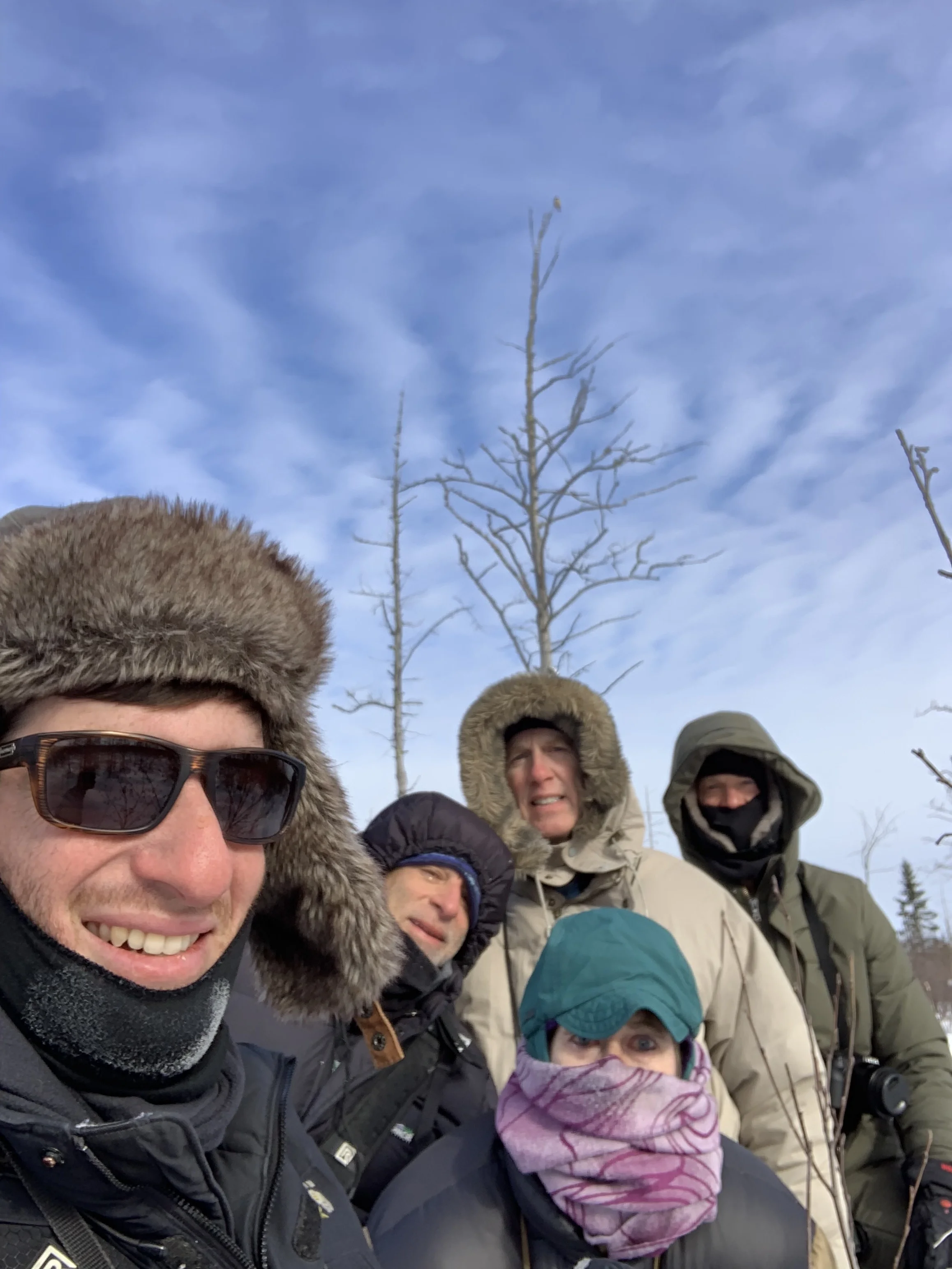 Group selfie with Northern Hawk Owl