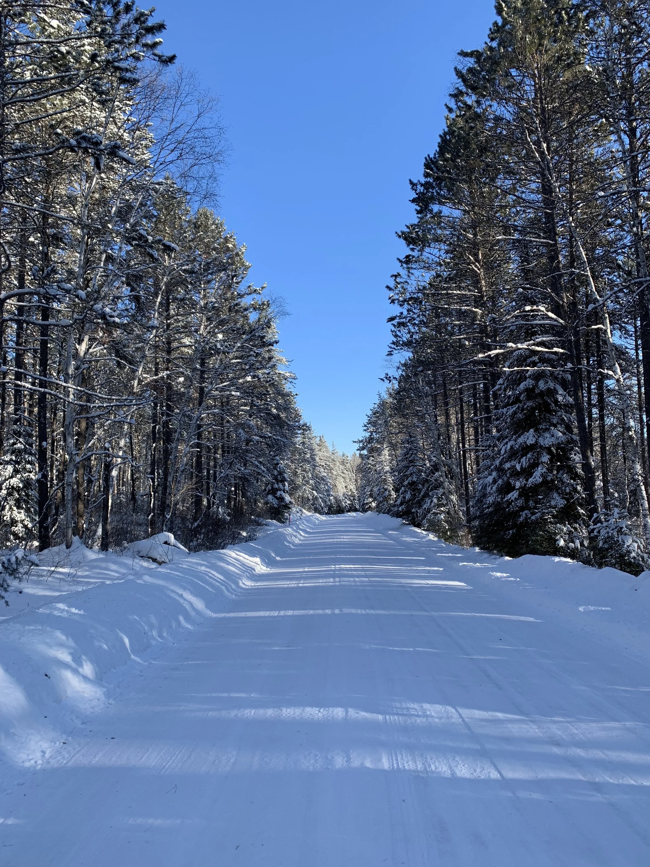 Superior National Forest