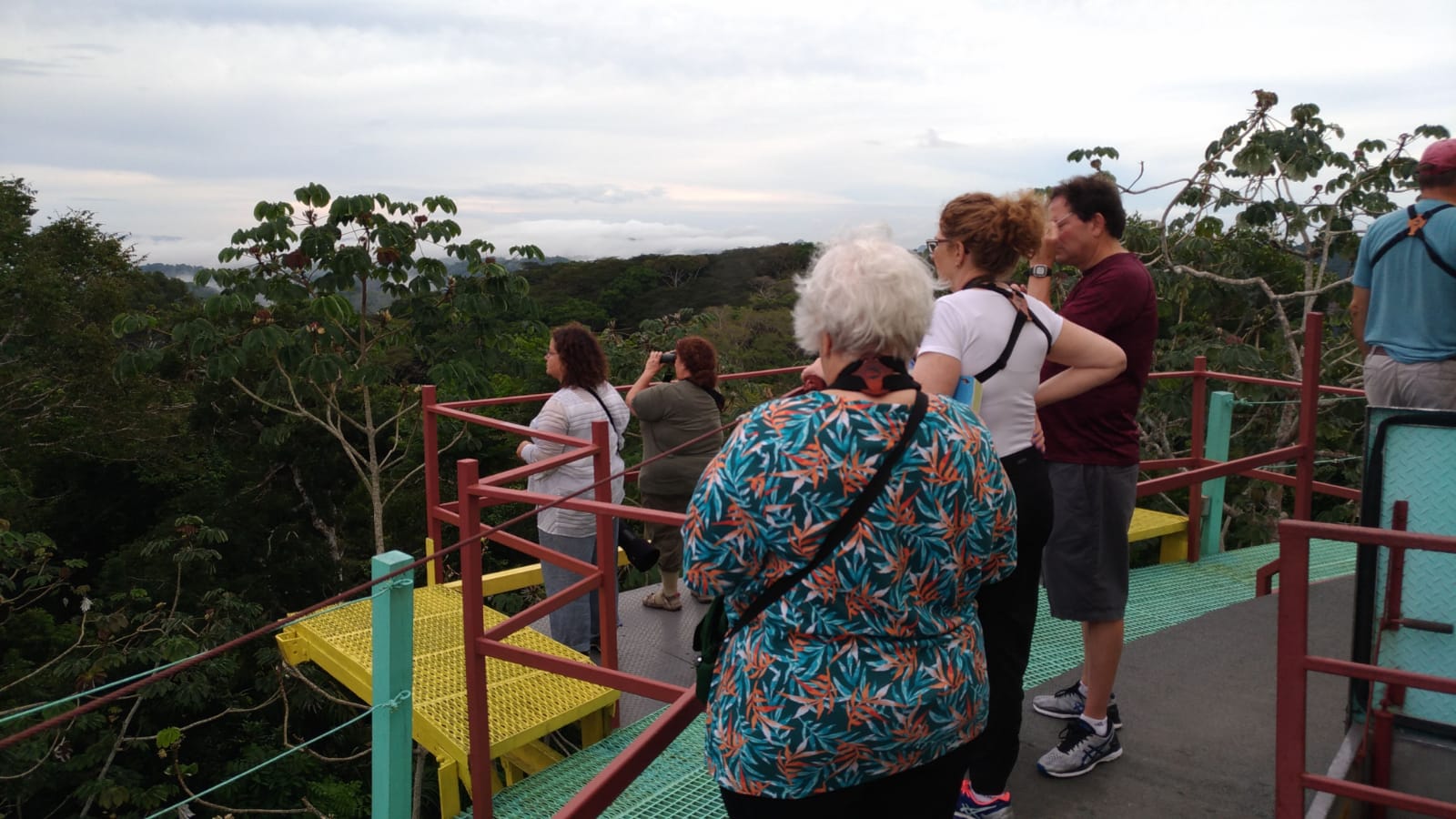 Birding the Canopy Tower