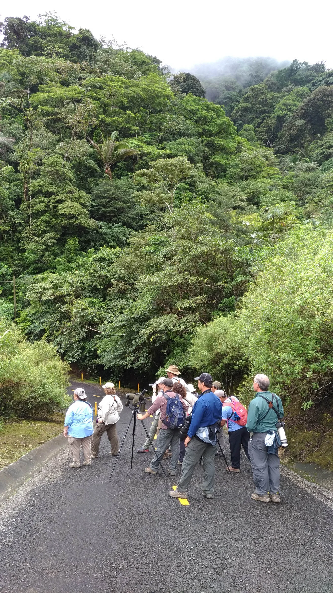 Birding near El Valle de Antón