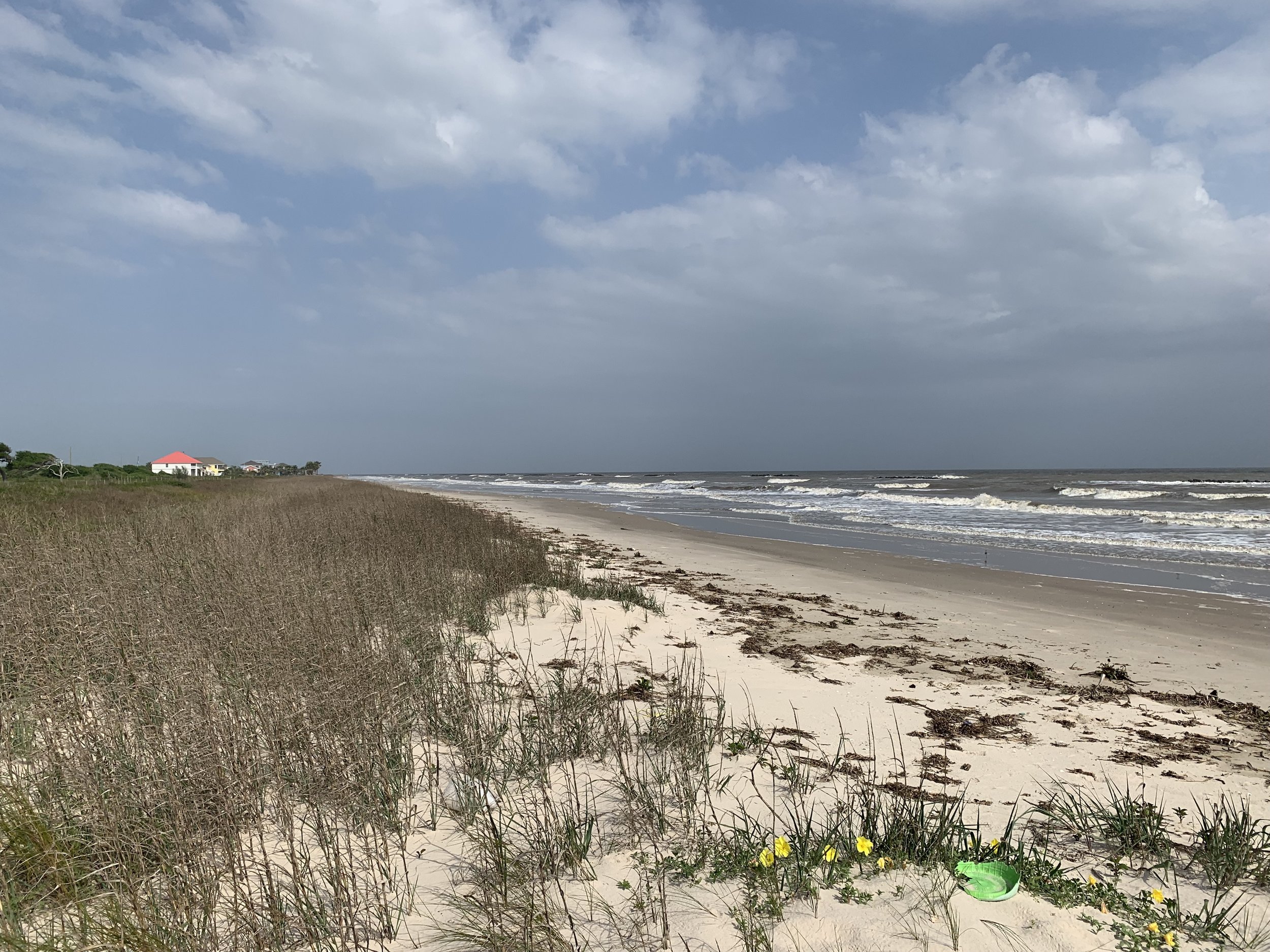 Gulf Coast beach