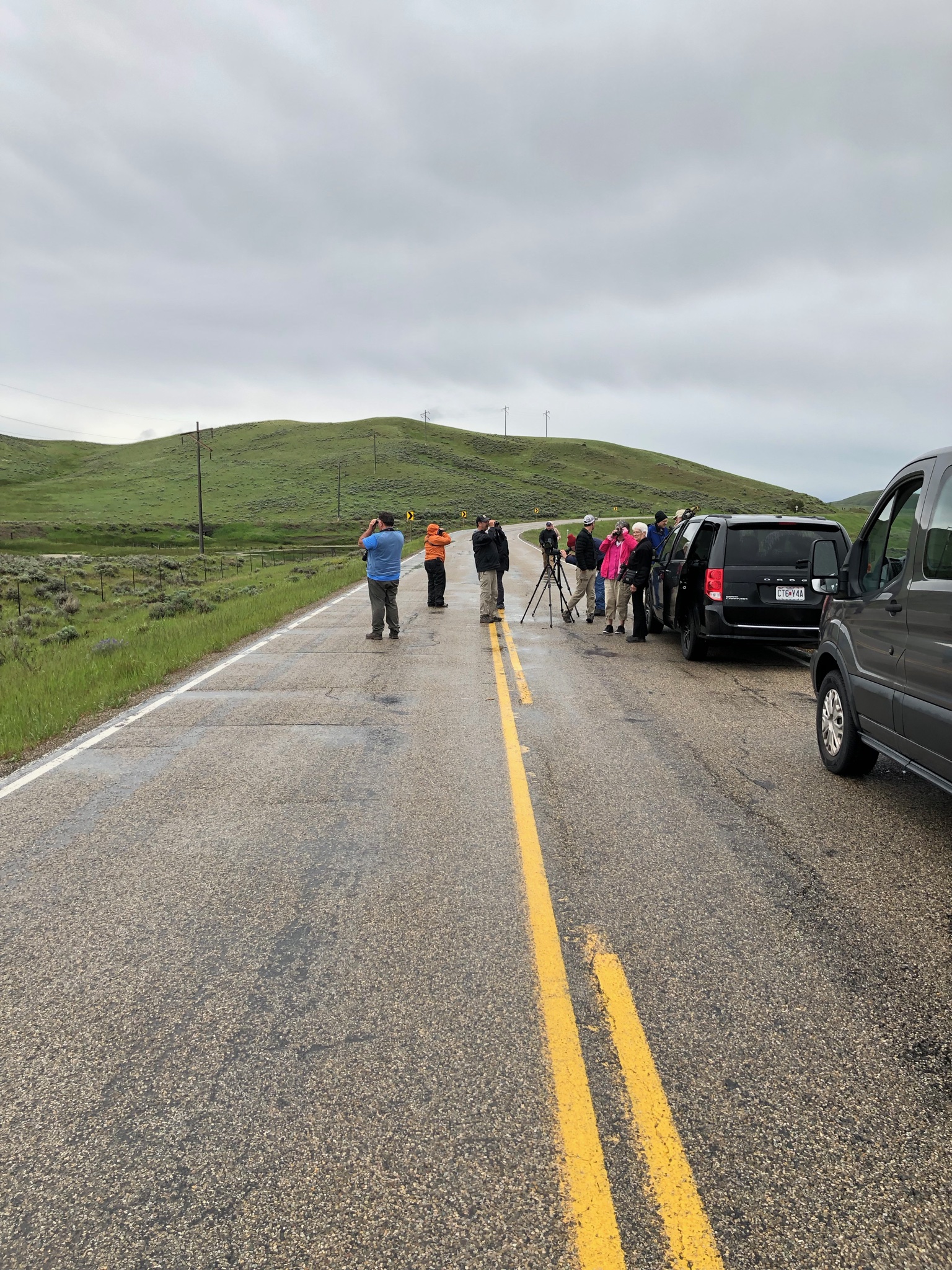 Birding the grasslands