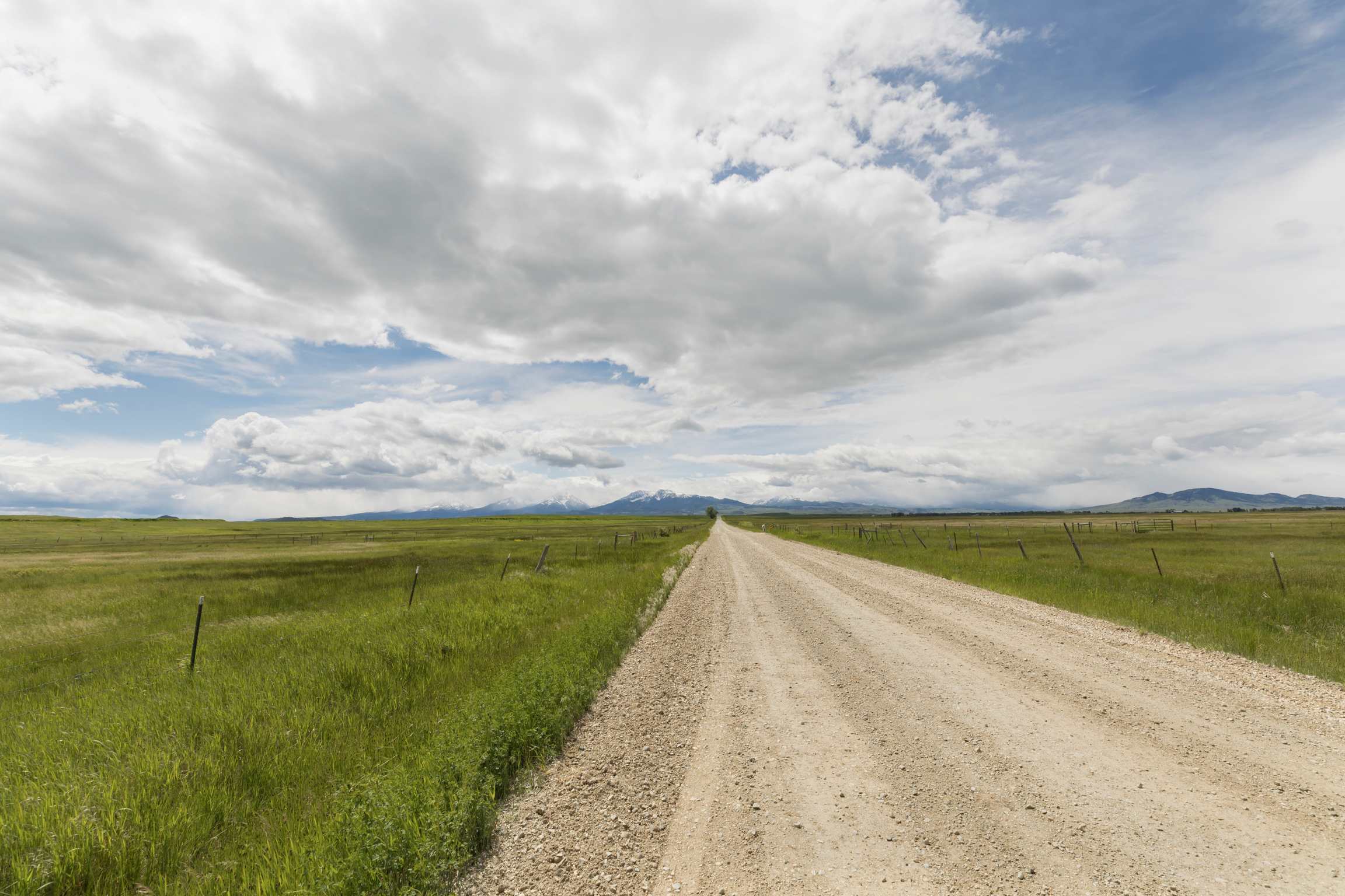 Montana grasslands