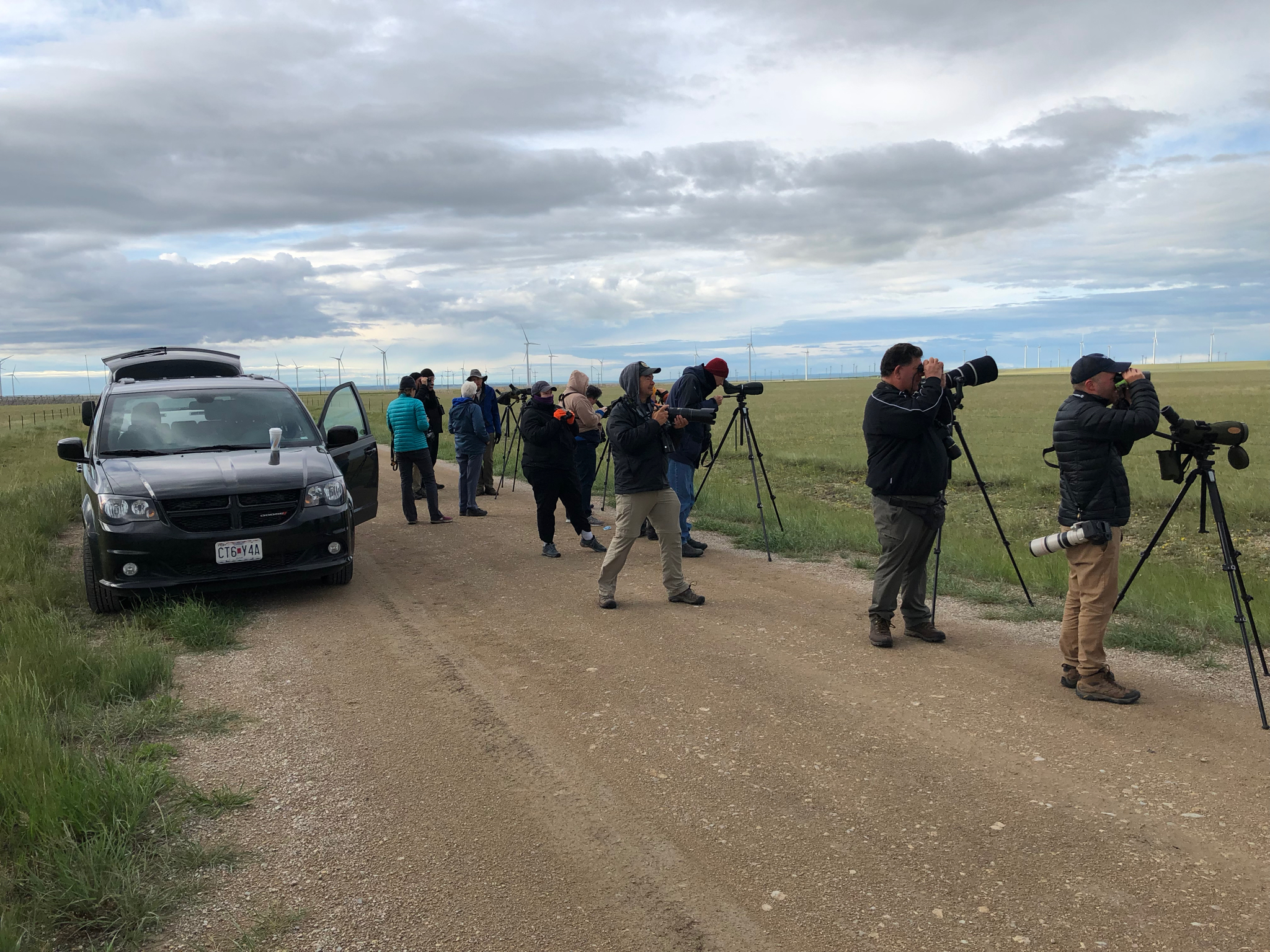 Birding the grasslands