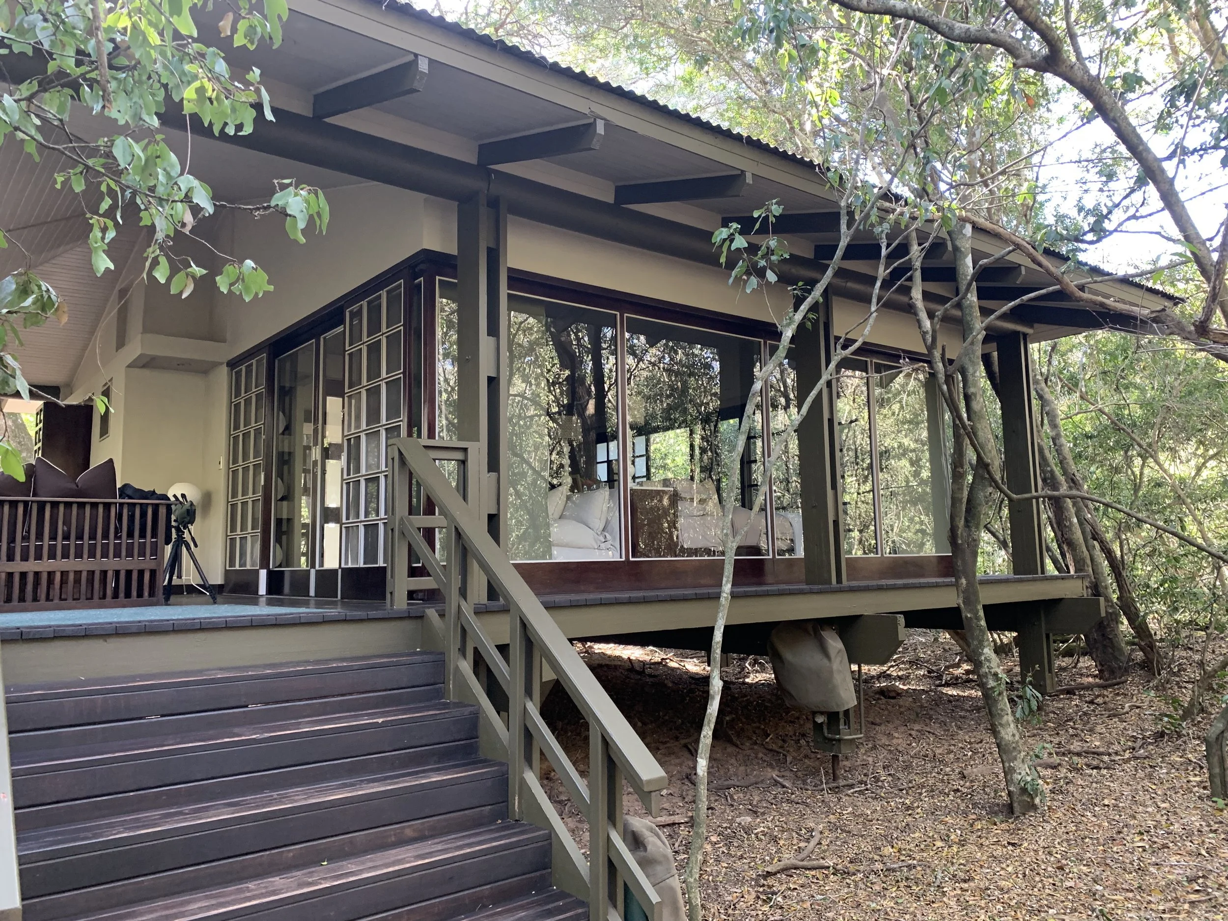 Phinda Forest Lodge