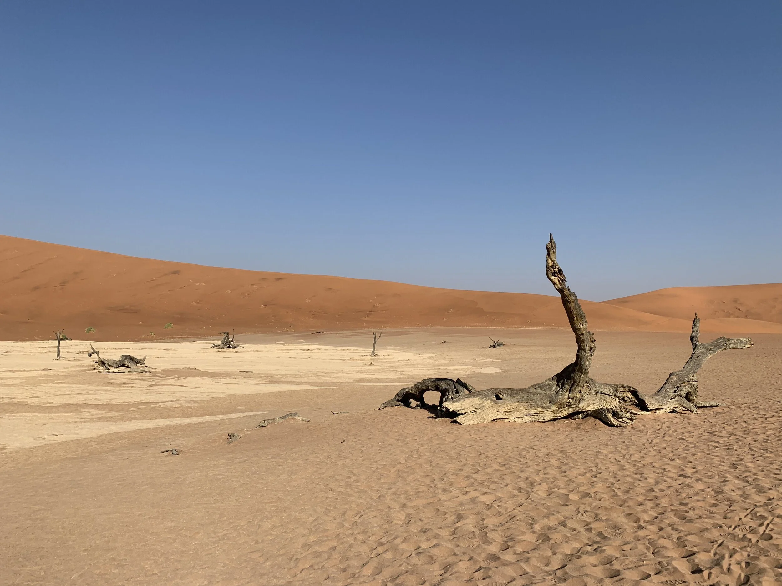 Deadvlei
