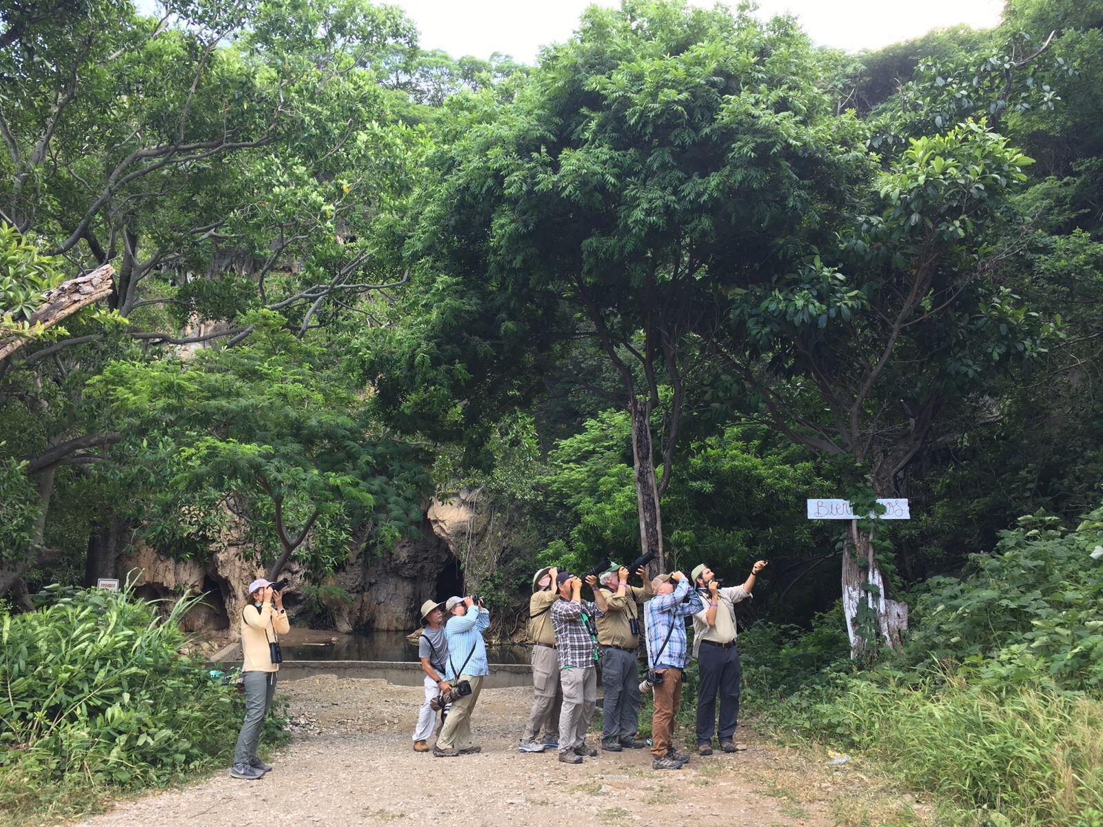 Birding Ojo de Agua and looking at Rose-bellied Bunting!