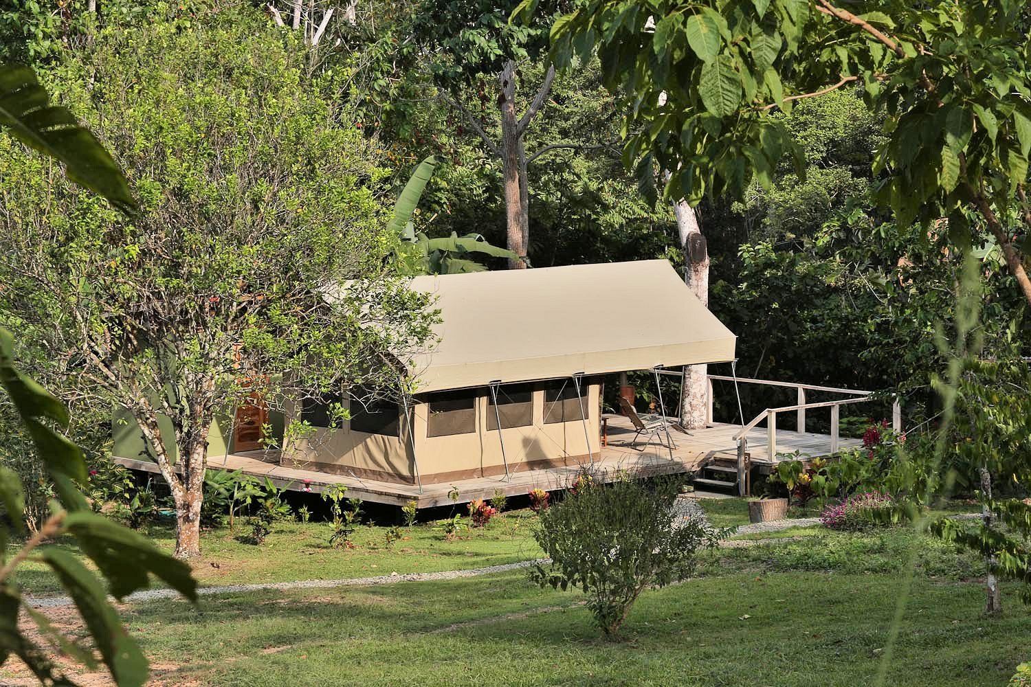 Luxury safari-style tents with private observation decks!  