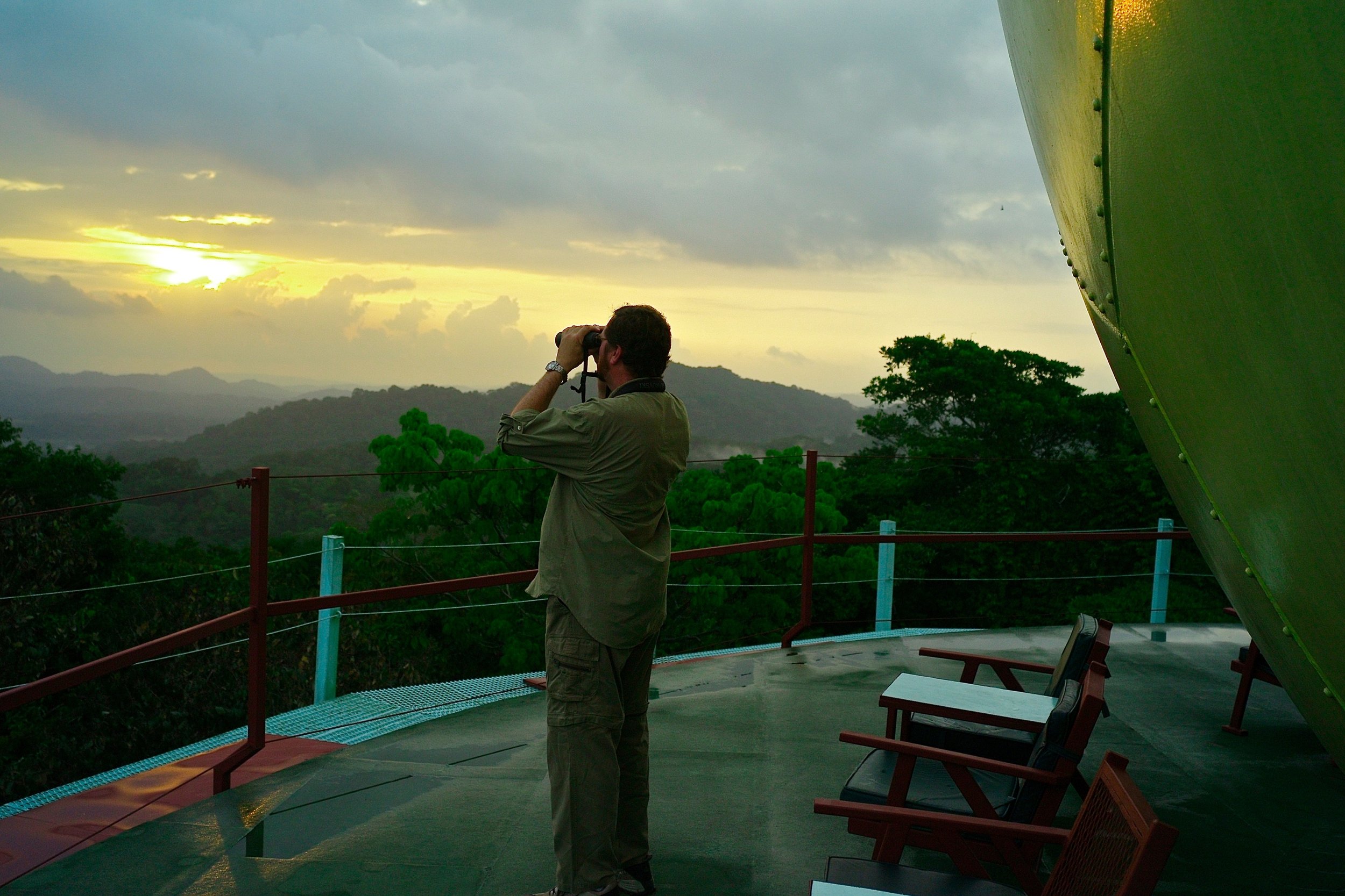 Birding from the Tower's observation deck. 