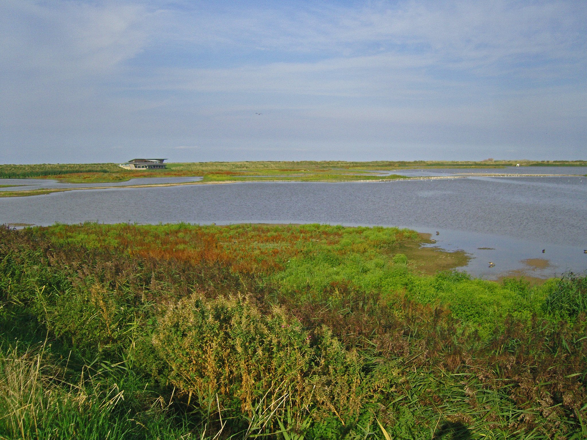 Titchwell Marsh RSPB Reserve