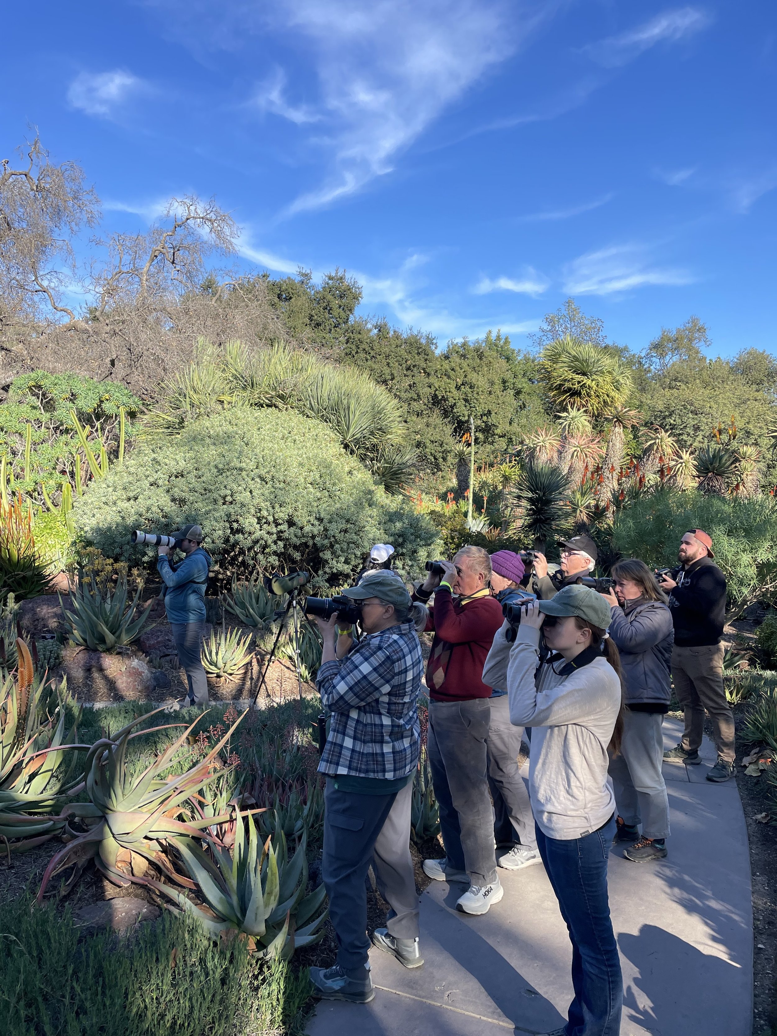 Birding Huntington Gardens
