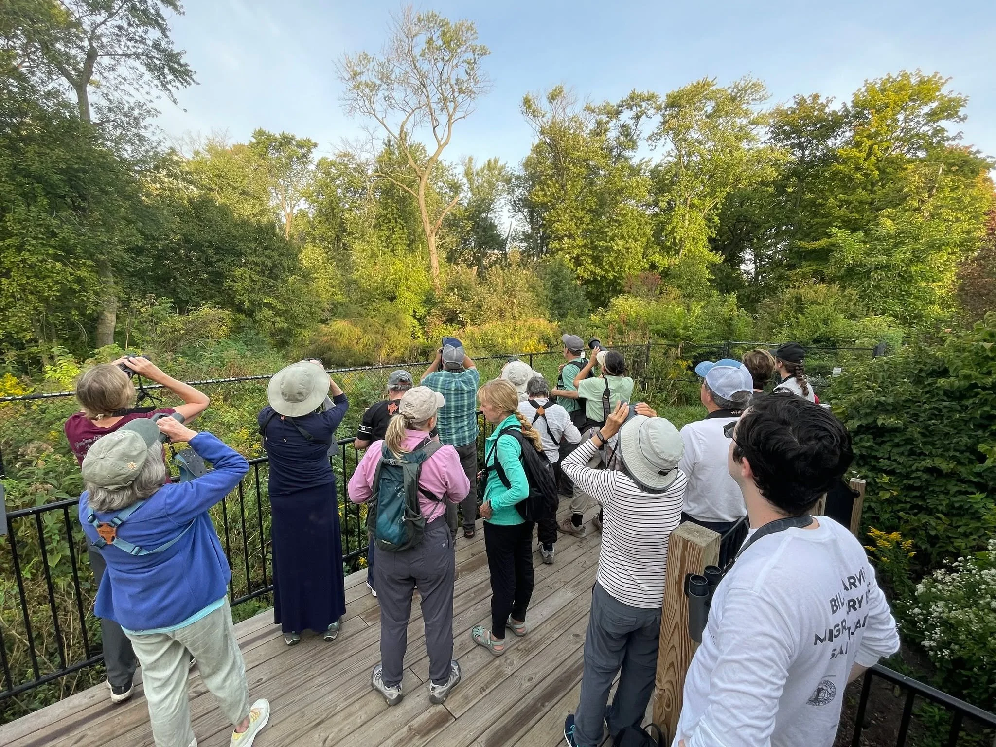 BIRDS &amp; COFFEE IS BACK FOR ITS 6th FALL! Red Hill guides will be pointing out birds from the Jarvis Bird Sanctuary viewing platform every Friday morning, 7:30-9:30, from Sept. 5 - Oct. 3. We will be collaborating again with Chicago Bird Alliance,
