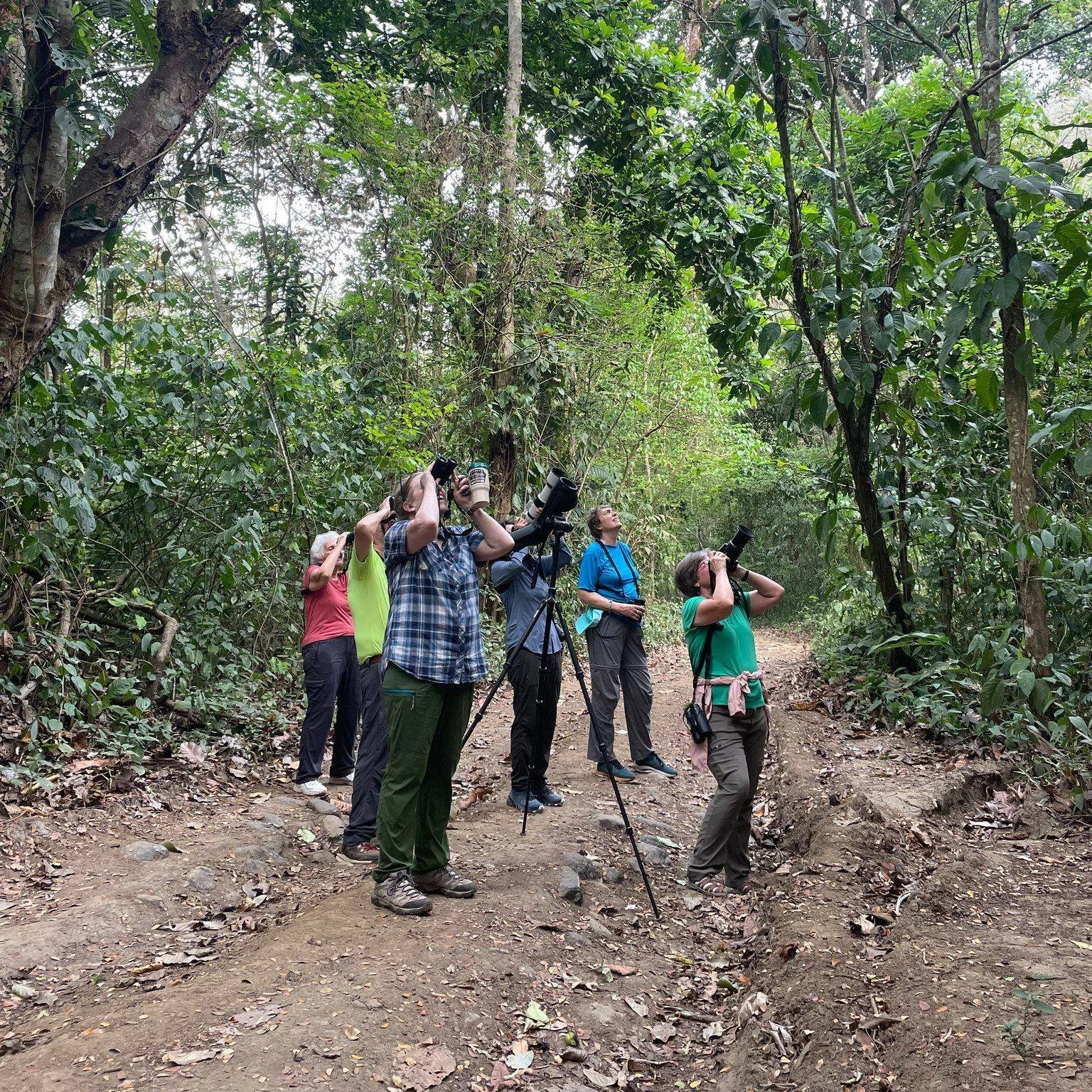 LAST-MINUTE TROPICAL TOUR AVAILABILITY 
Cancellations have opened up single spots on two January tours to warm, tropical, and very birdy destinations. Both are available in either a single room or for a woman wanting to share a room.

COSTA RICA: A B