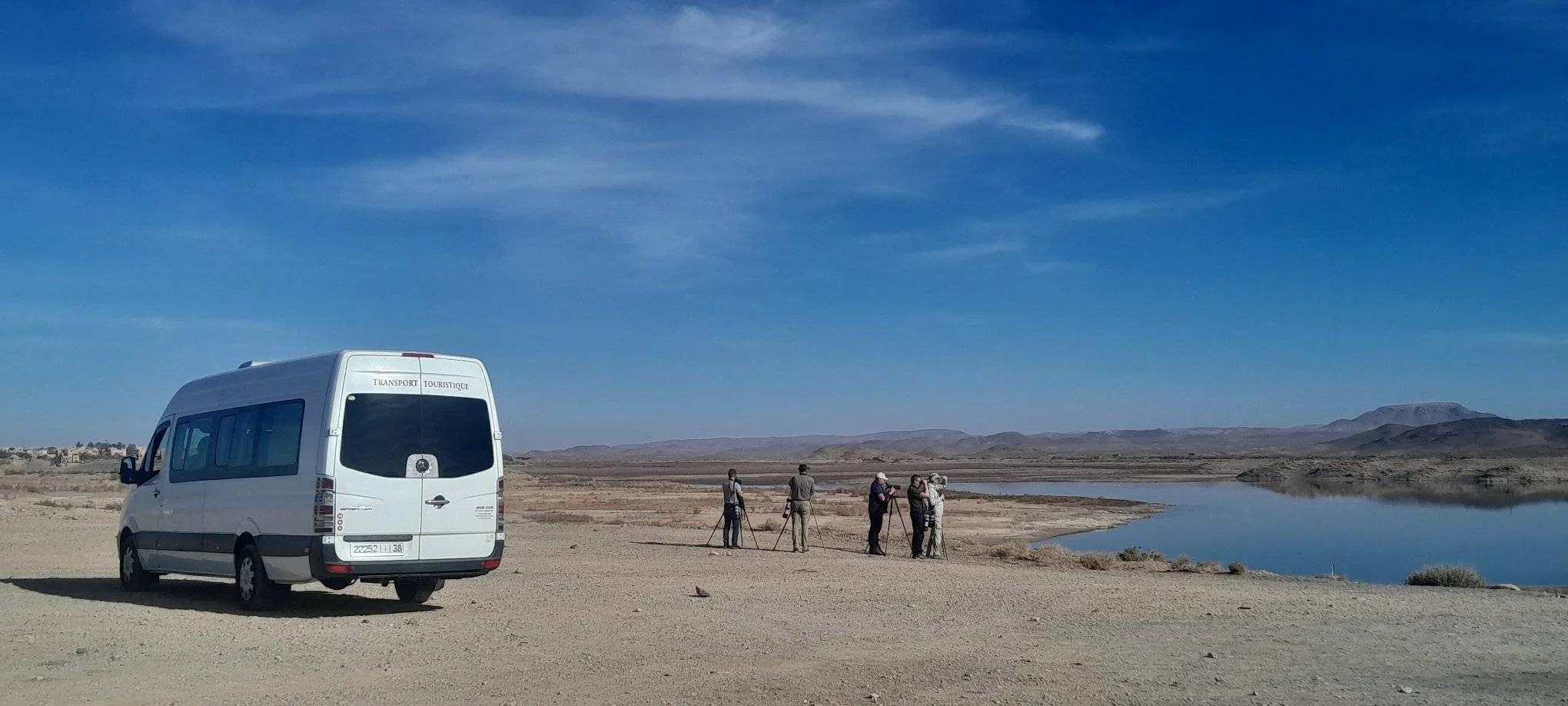 Out birding near an oasis